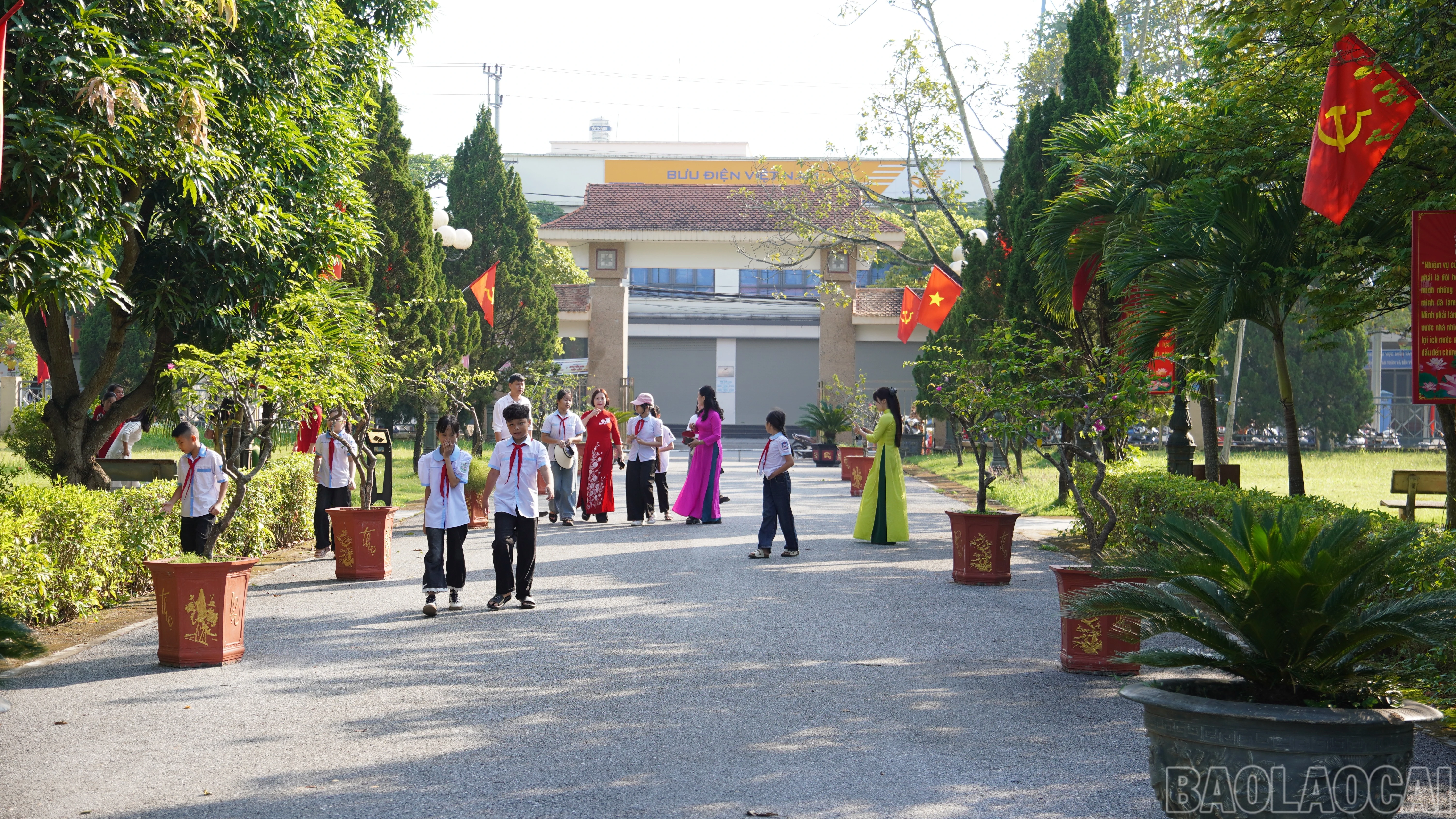 baolaocai-br_fpt03650.jpg