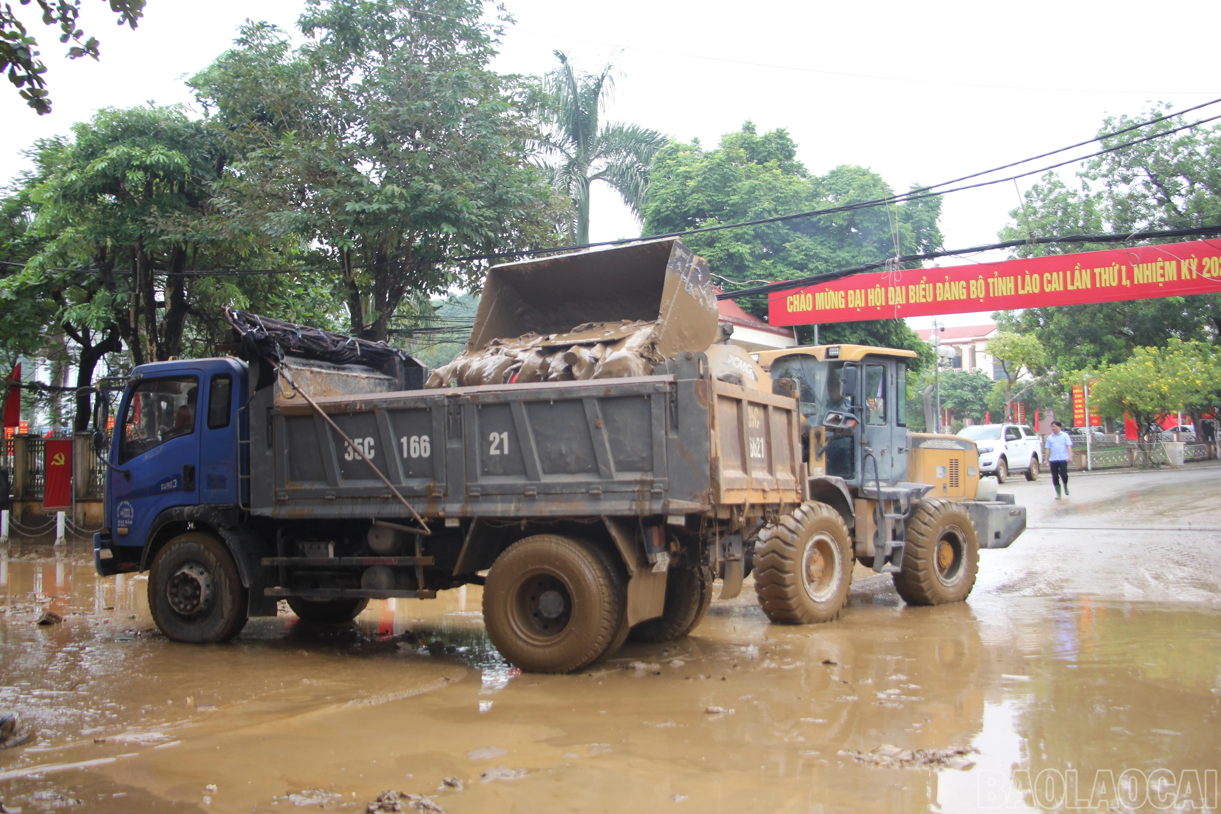 baolaocai-br_13.jpg