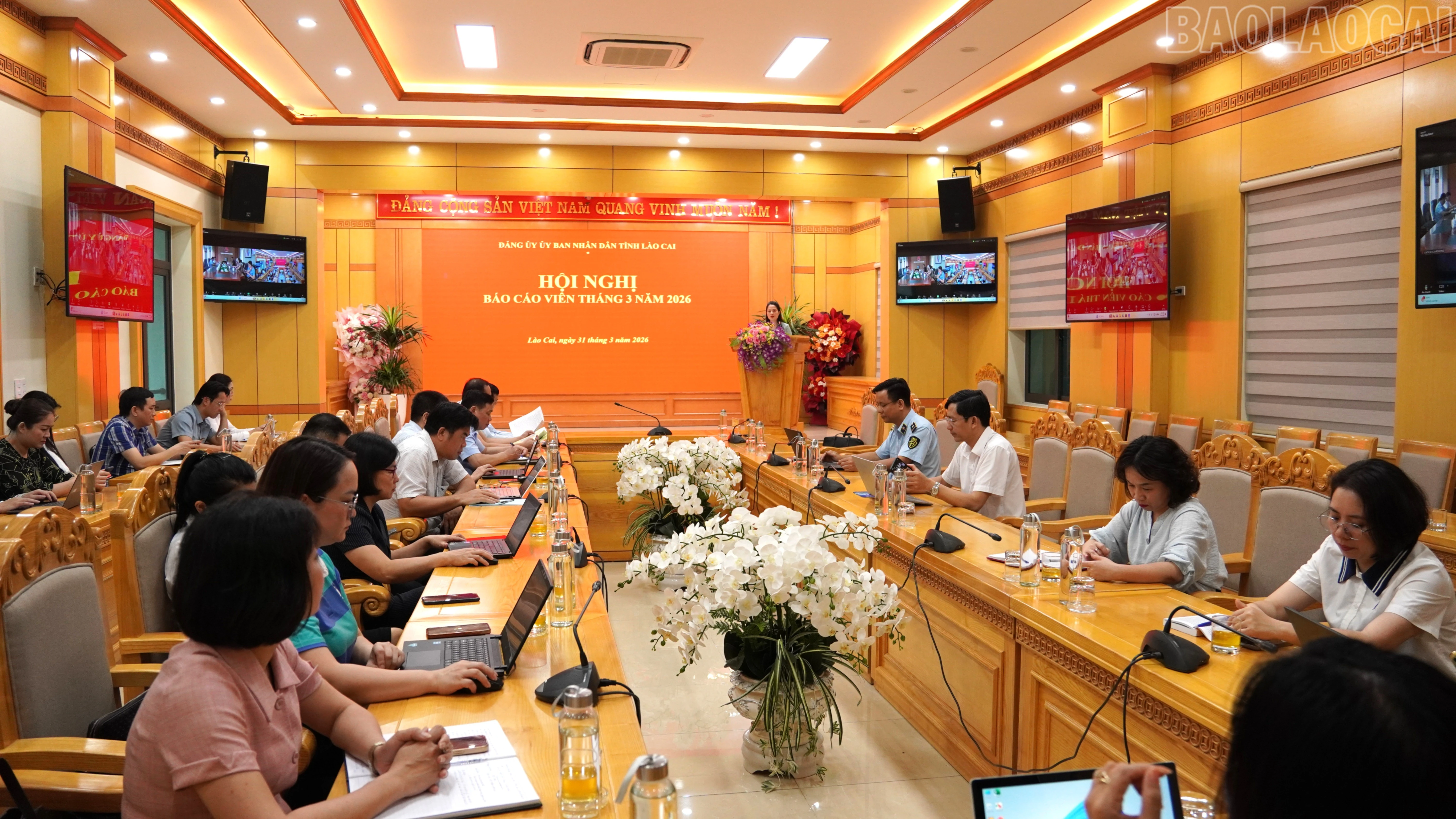 baolaocai-tr_3-949.jpg