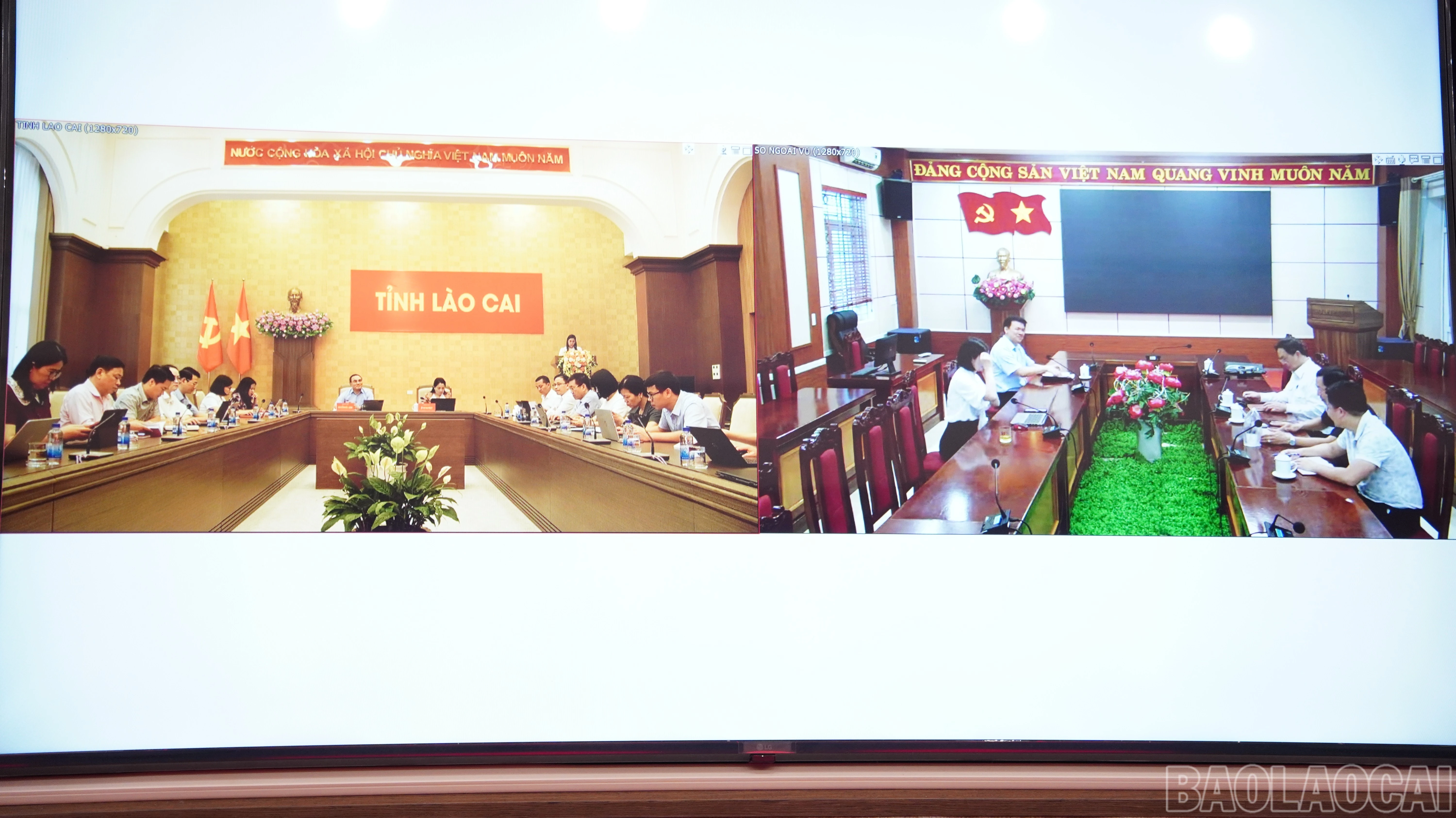 baolaocai-br_fpt08928.jpg