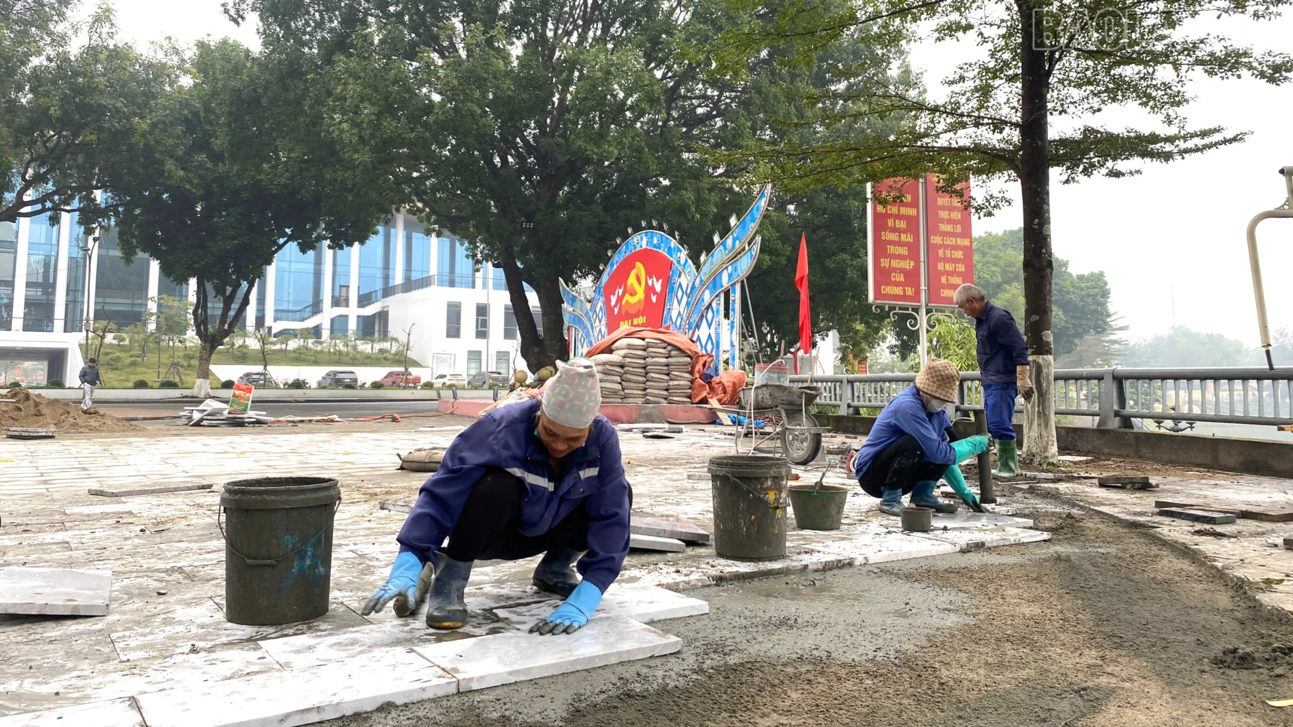 baolaocai-tr_z7440242619819-61df243b97cdb21e4c269f4899907020.jpg