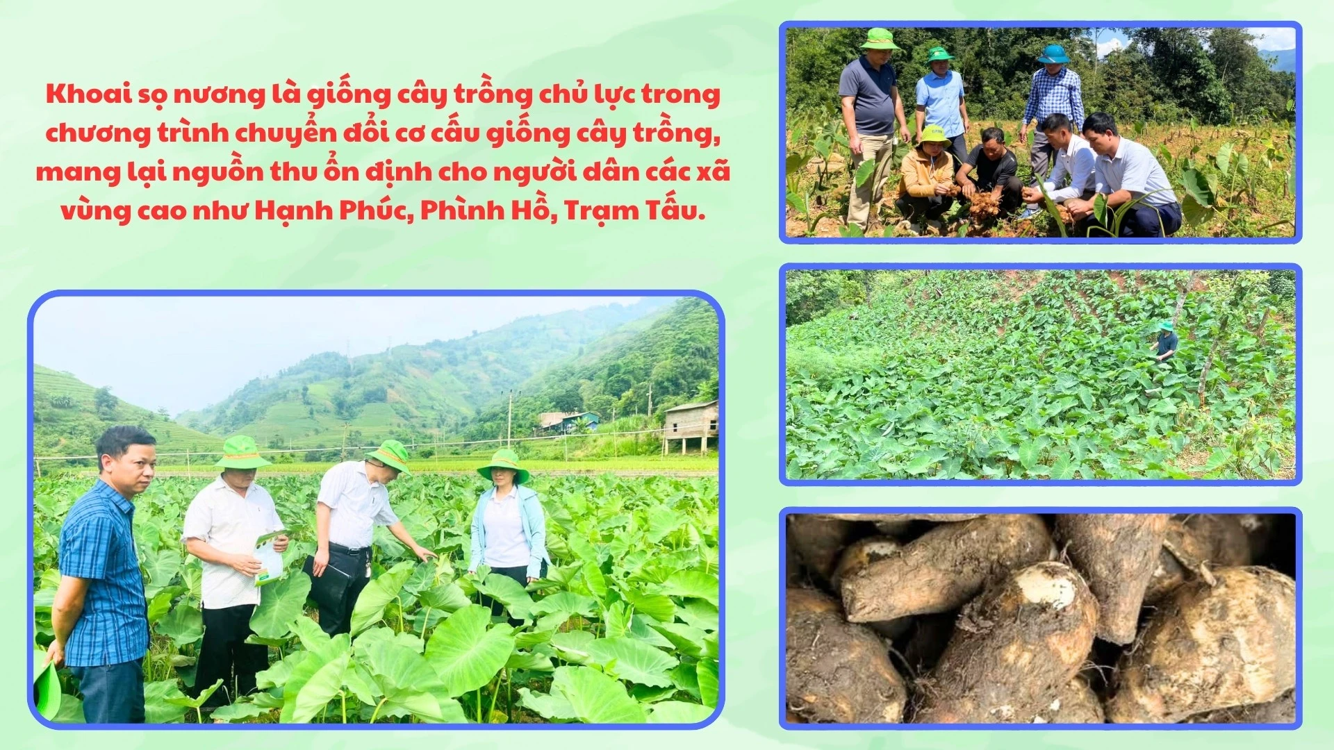 day-lui-tao-hon-10.jpg