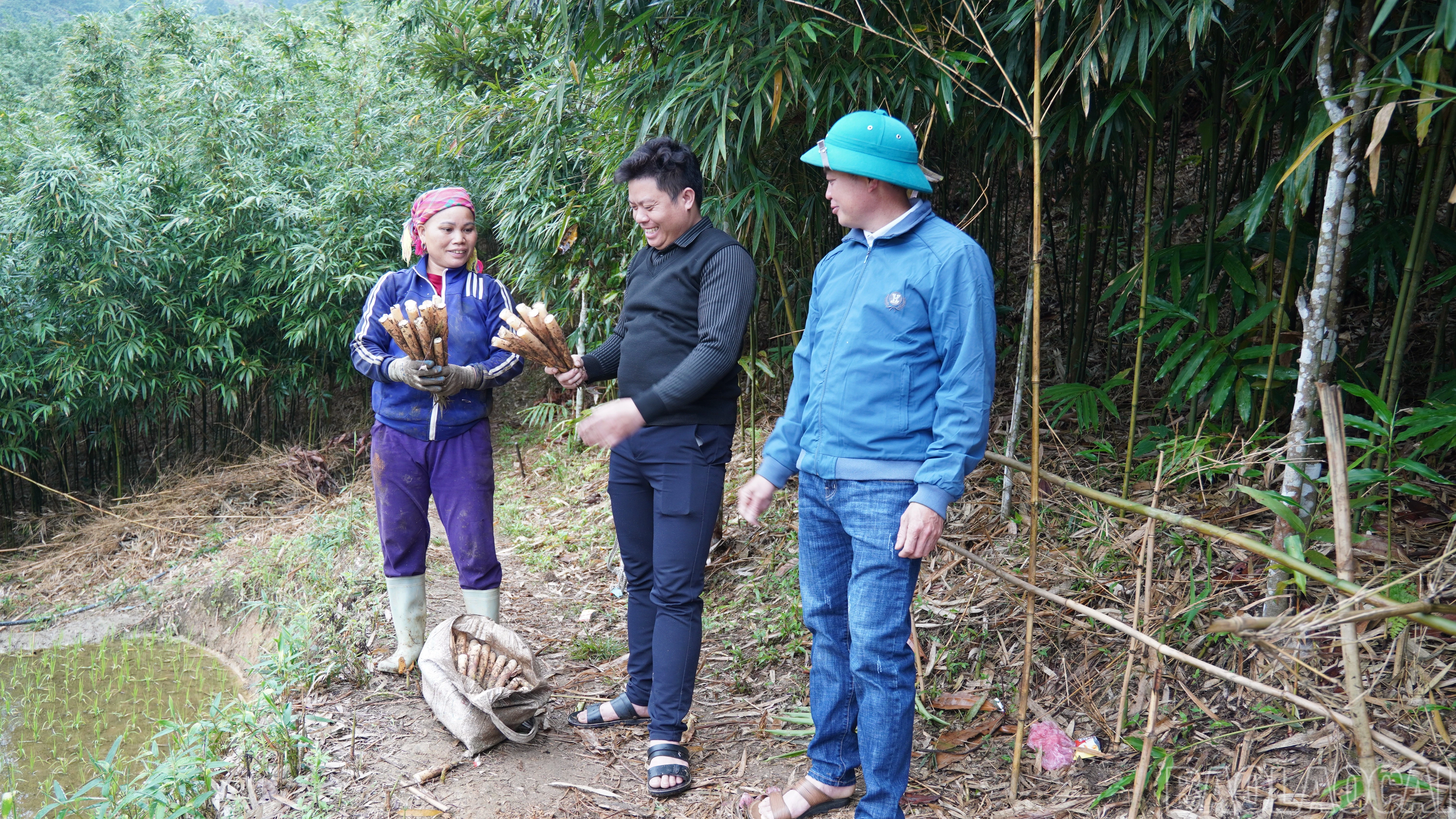 baolaocai-br_fpt06607.jpg