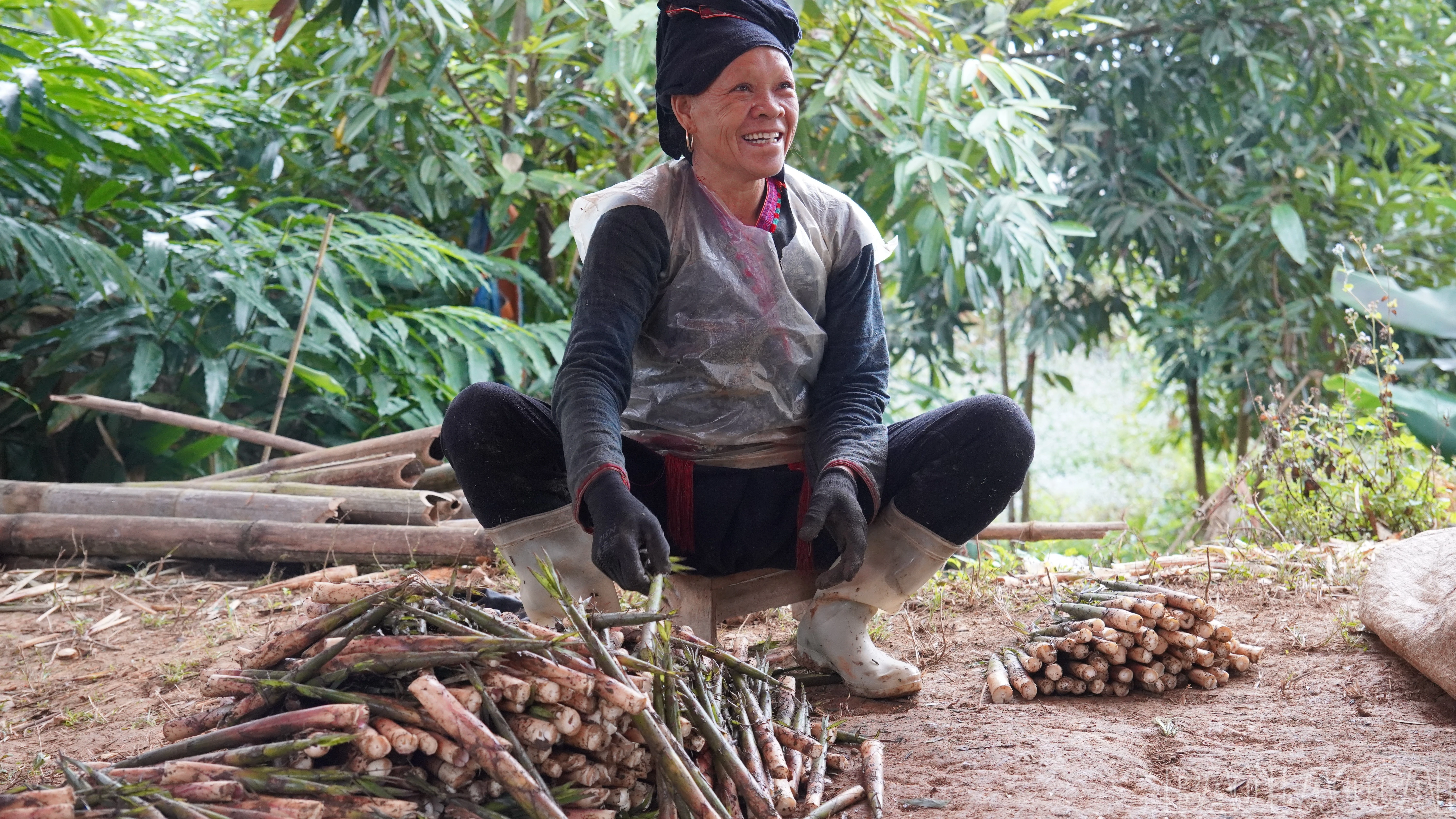 baolaocai-br_fpt06667.jpg