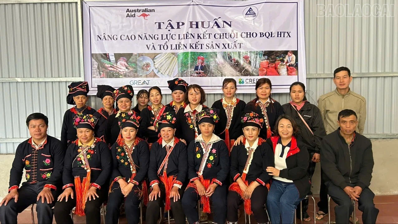 baolaocai-tr_z7590052431995-8a590ad5ddaae1812c905548c317b394-6611.jpg