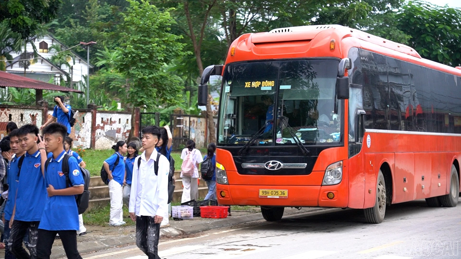 baolaocai-br_camnhan5.jpg