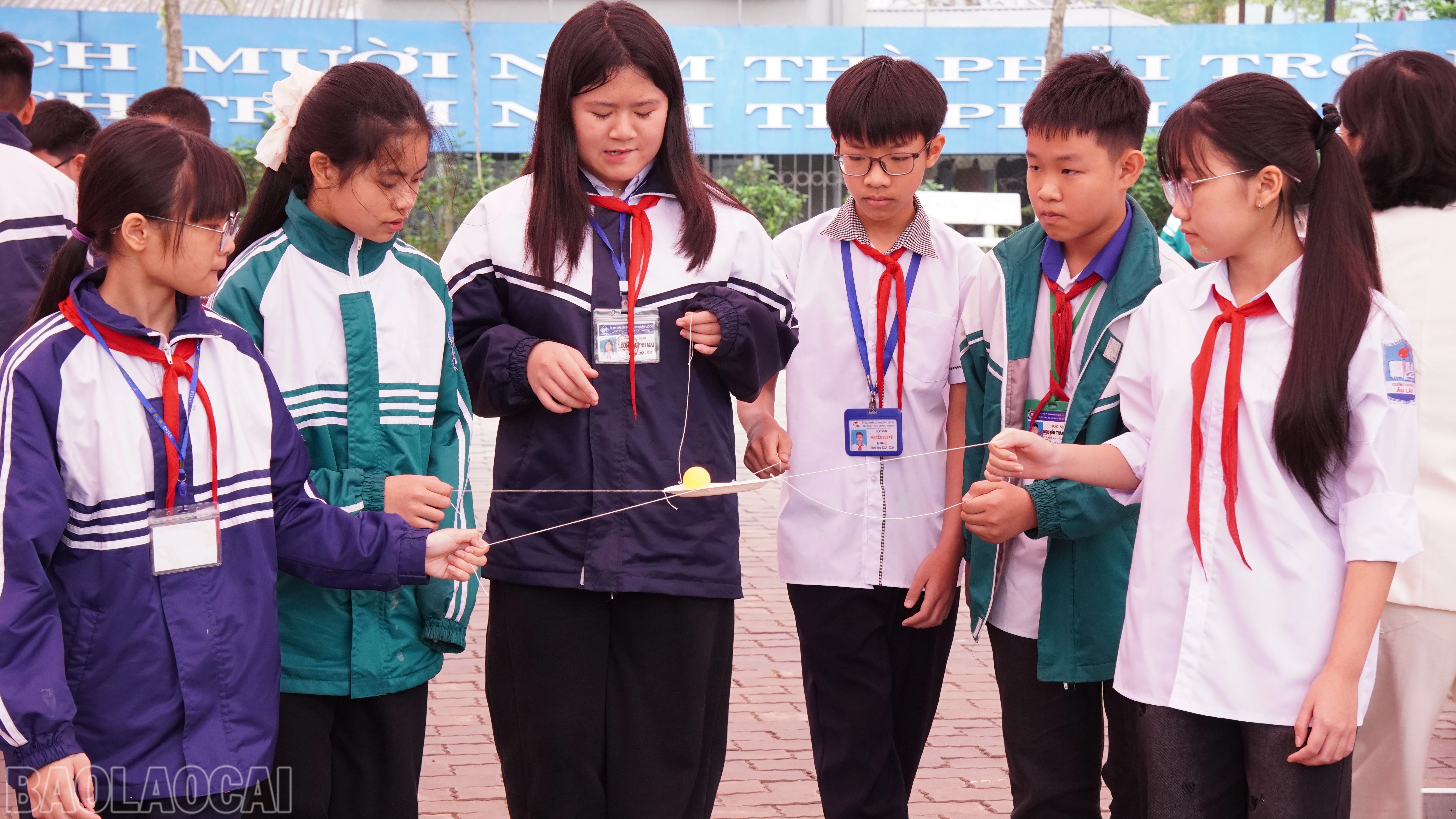 baolaocai-bl_fpt07645.jpg