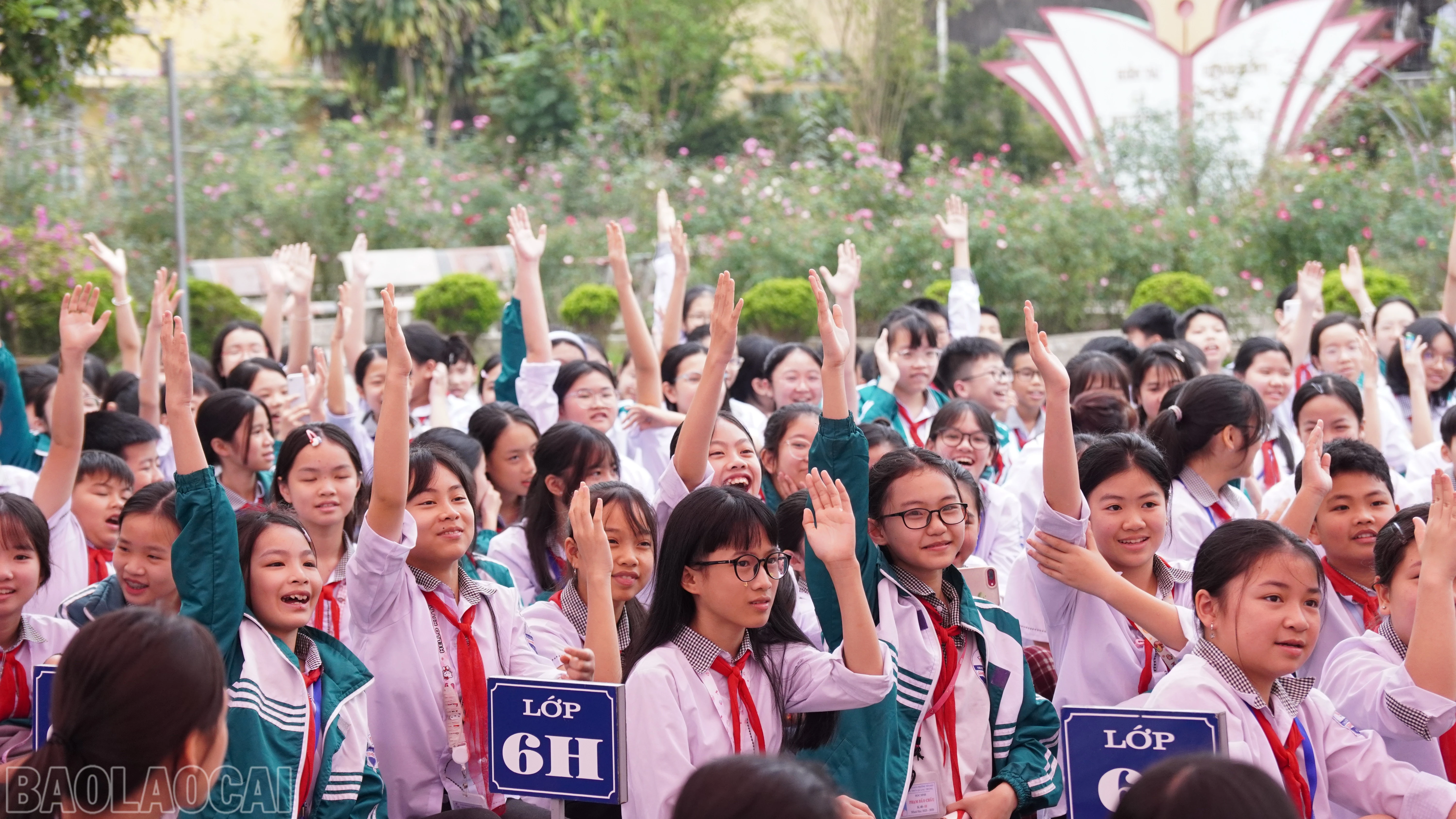 baolaocai-bl_fpt07694.jpg