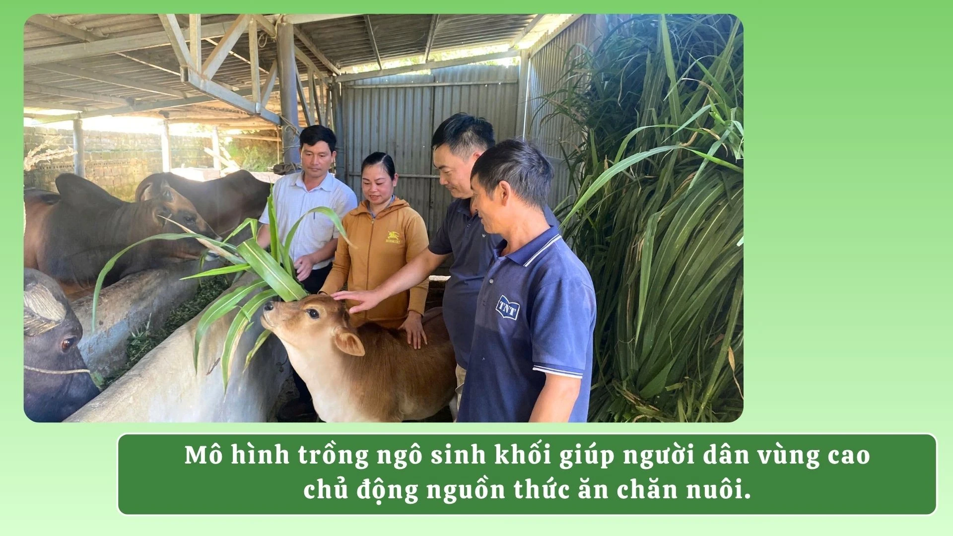 ngo-sinh-khoi.jpg