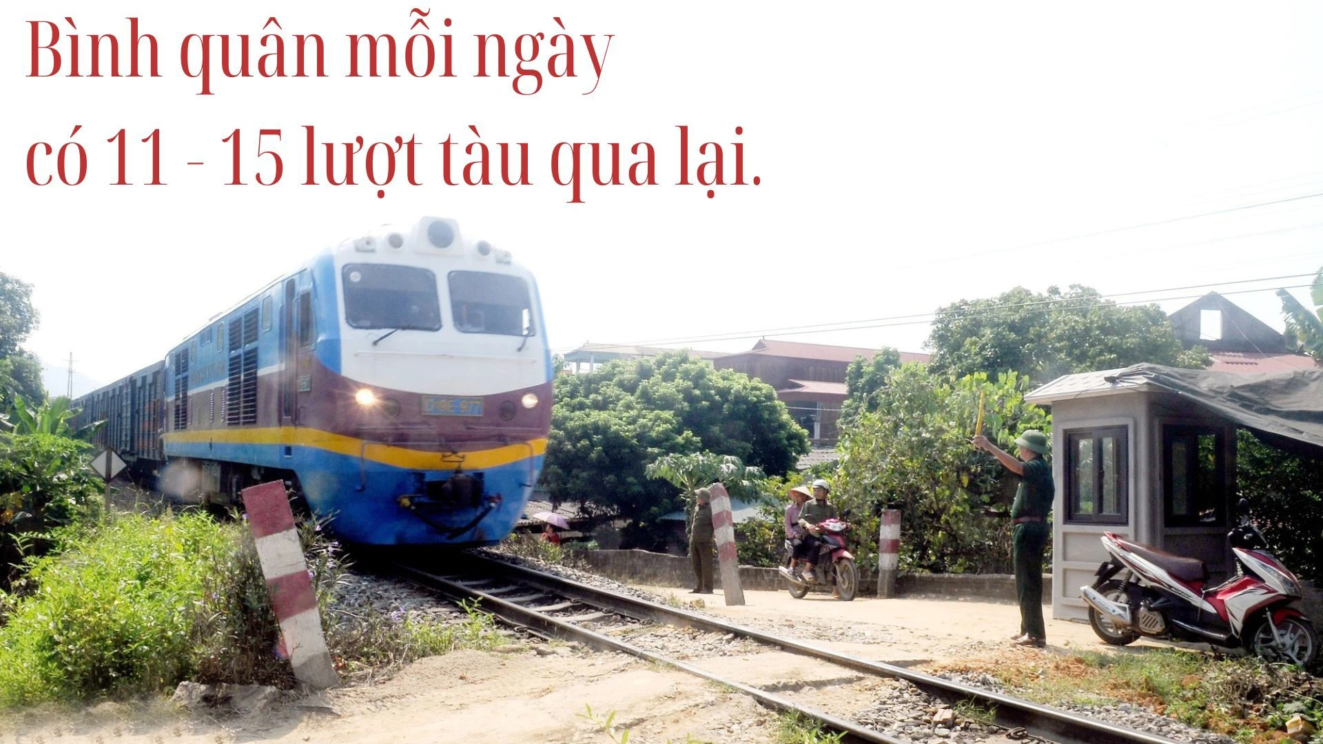 ndinh1c.jpg