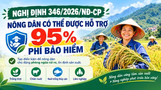Nông dân có thể được hỗ trợ tới 95% phí bảo hiểm