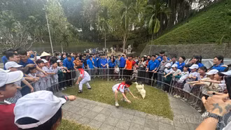 Sắc màu văn hóa truyền thống tại Lễ hội đền Thượng 