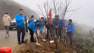 Tuổi trẻ Lào Cai hưởng ứng Tết trồng cây