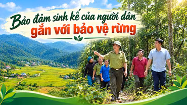 Bảo đảm sinh kế của người dân gắn với bảo vệ rừng