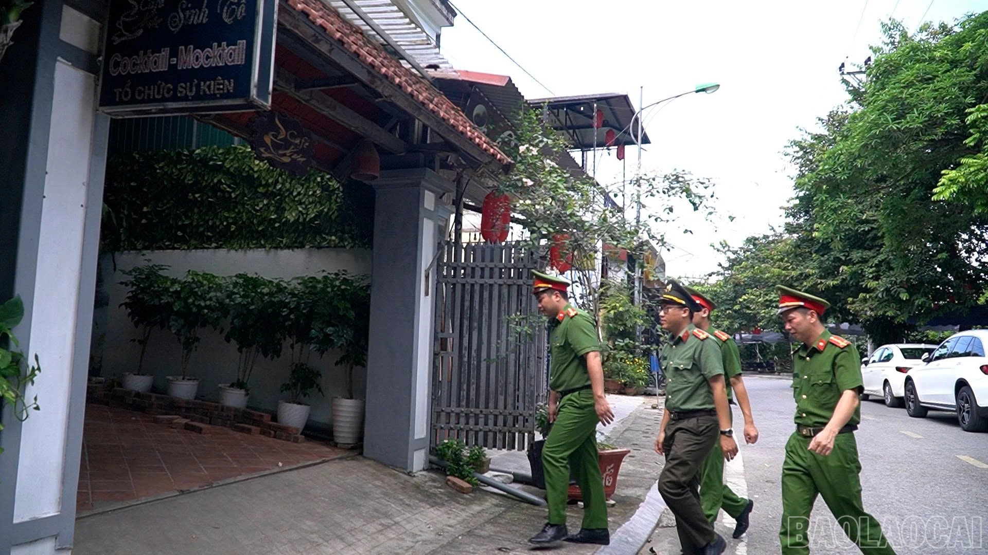 baolaocai-br_z8031285397486-1e527360879b740978bd5e5f924f5a56.jpg
