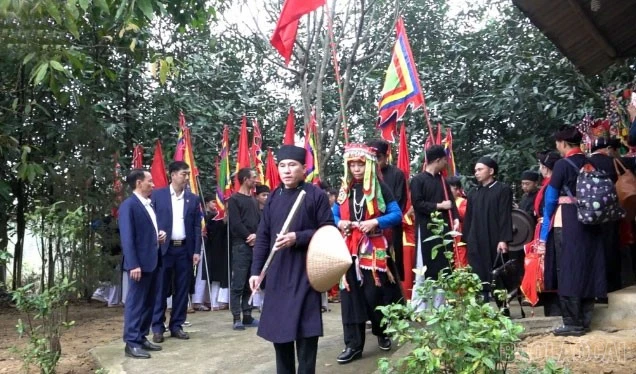 baolaocai-br_1.jpg