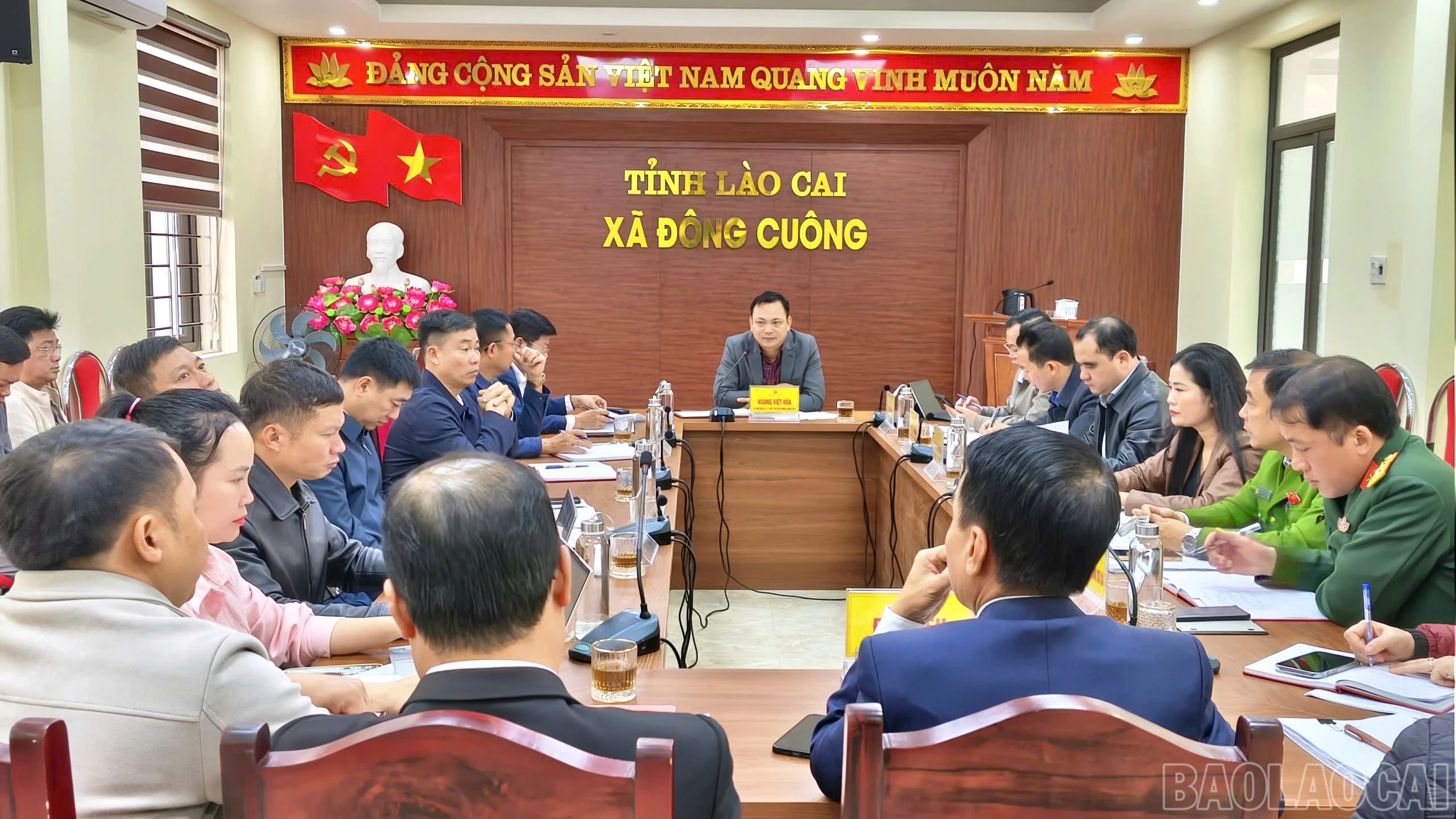 baolaocai-br_1483912994774739807.jpg