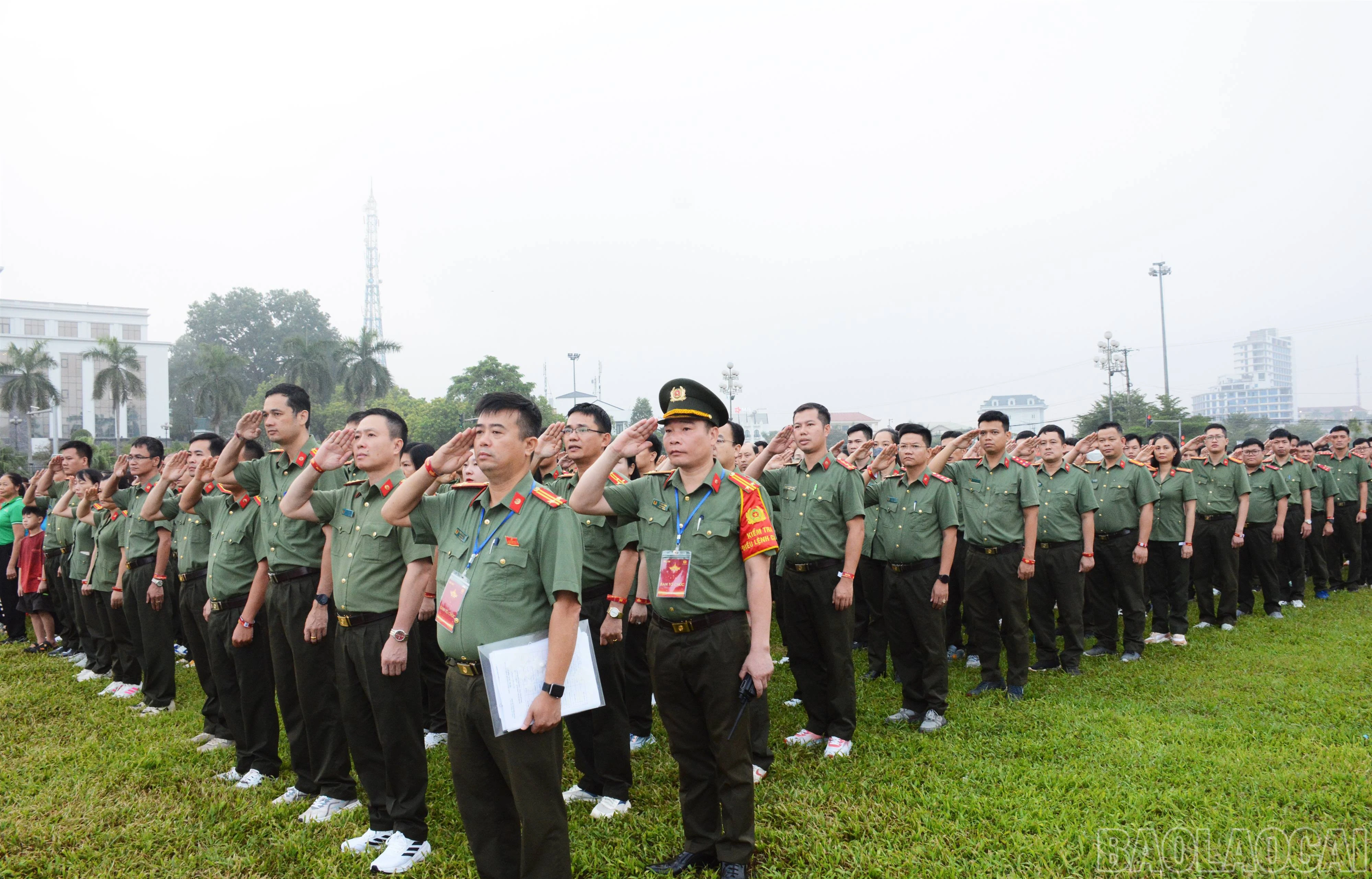 baolaocai-br_1608-3.jpg