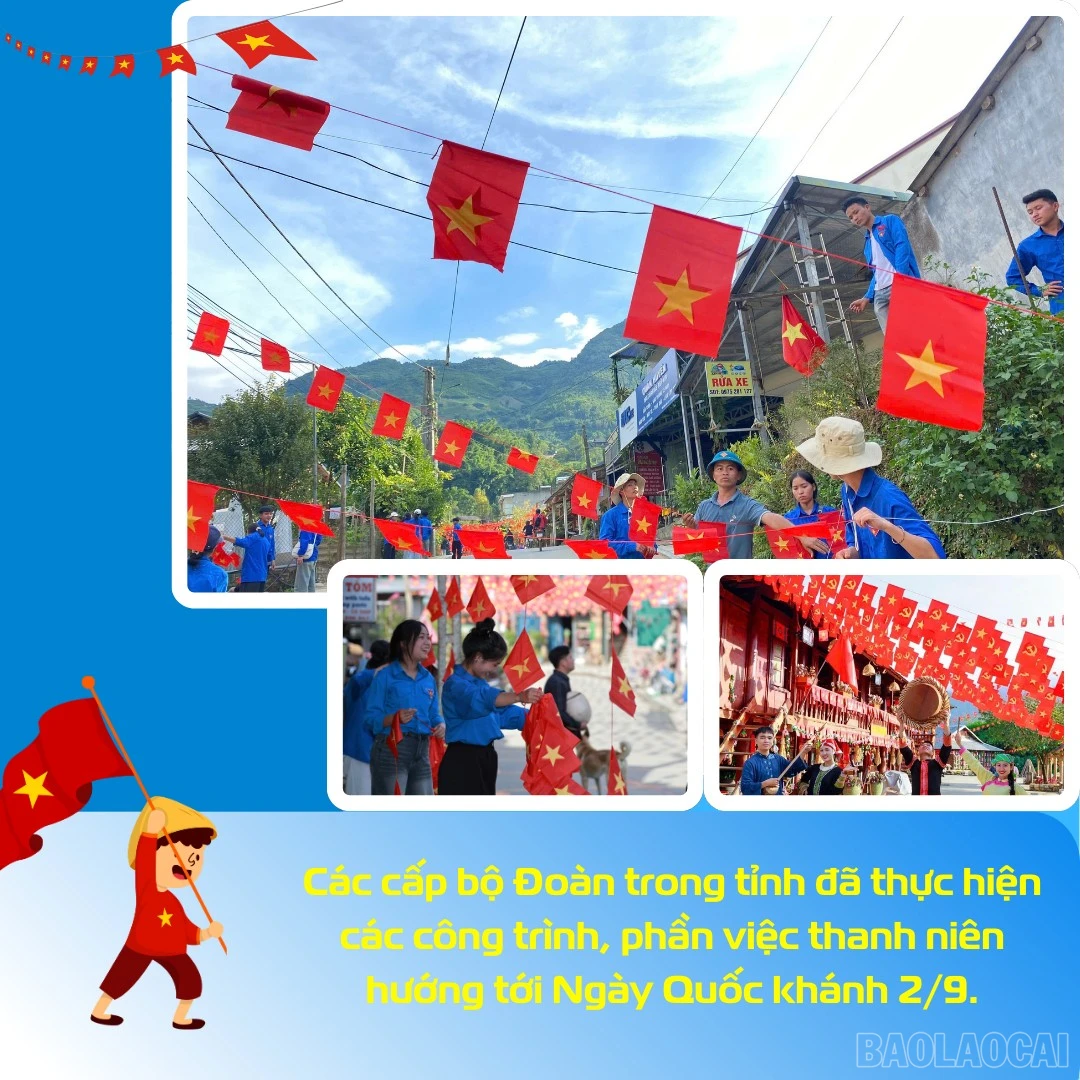 baolaocai-br_4.png