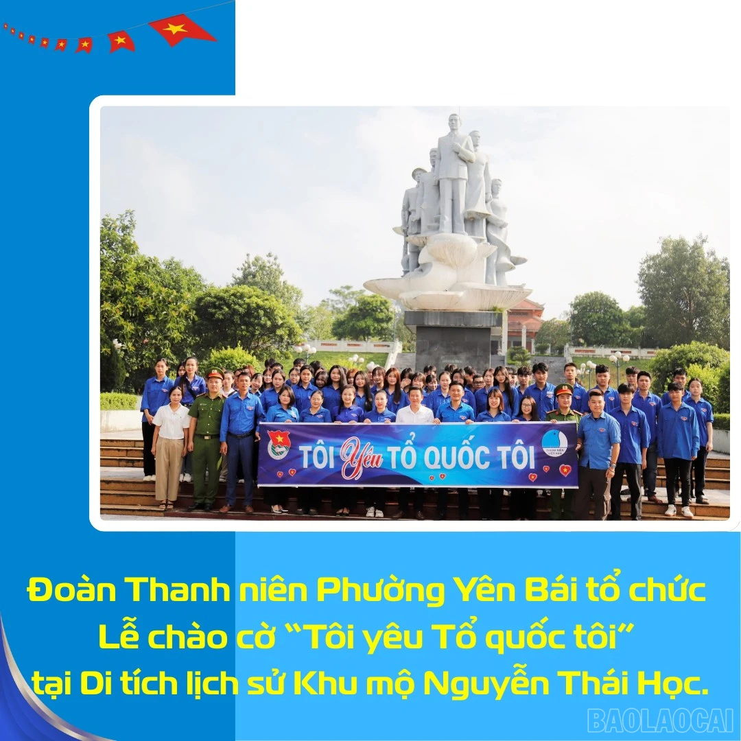 baolaocai-br_3.png