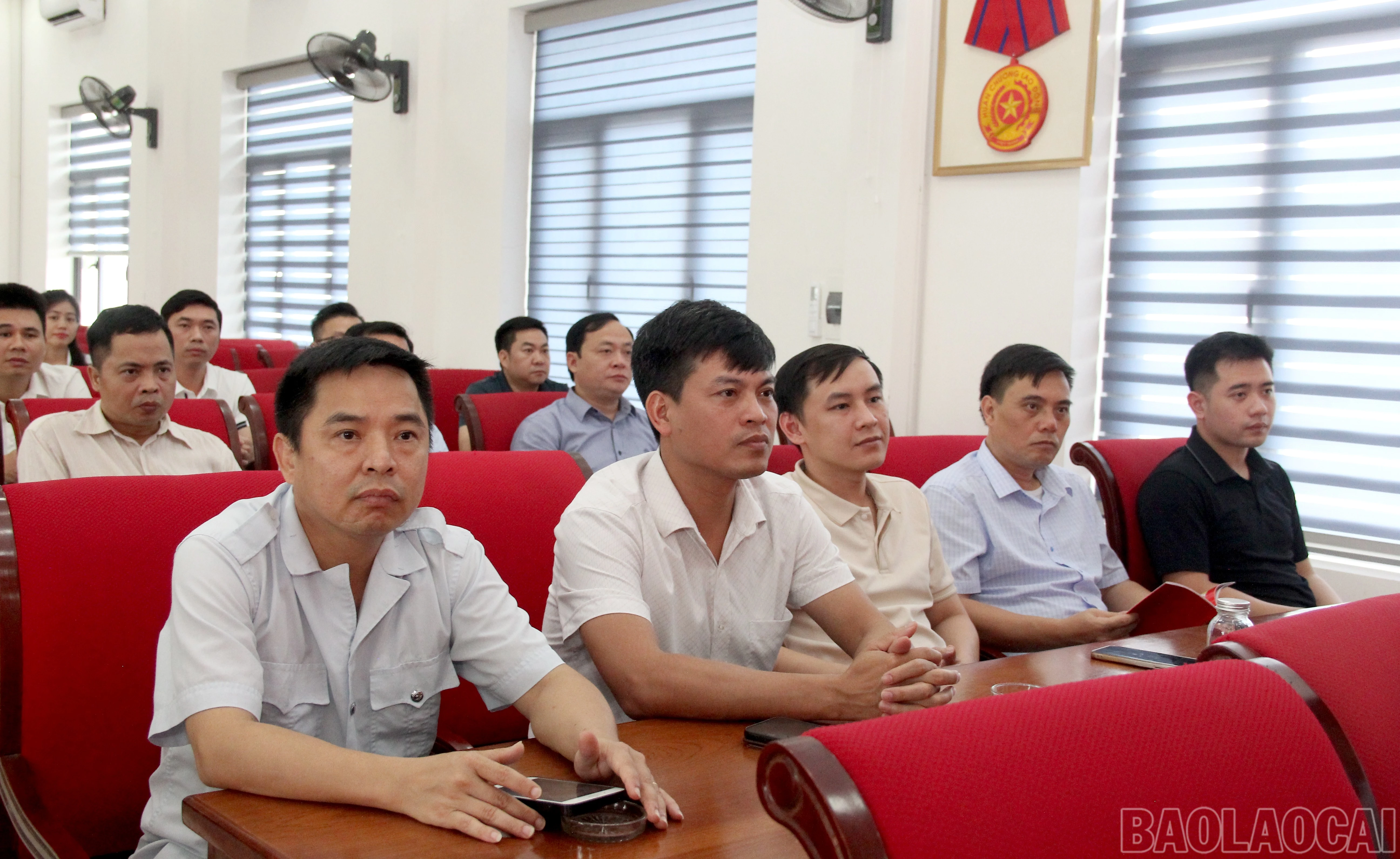 baolaocai-br_img-9689.jpg