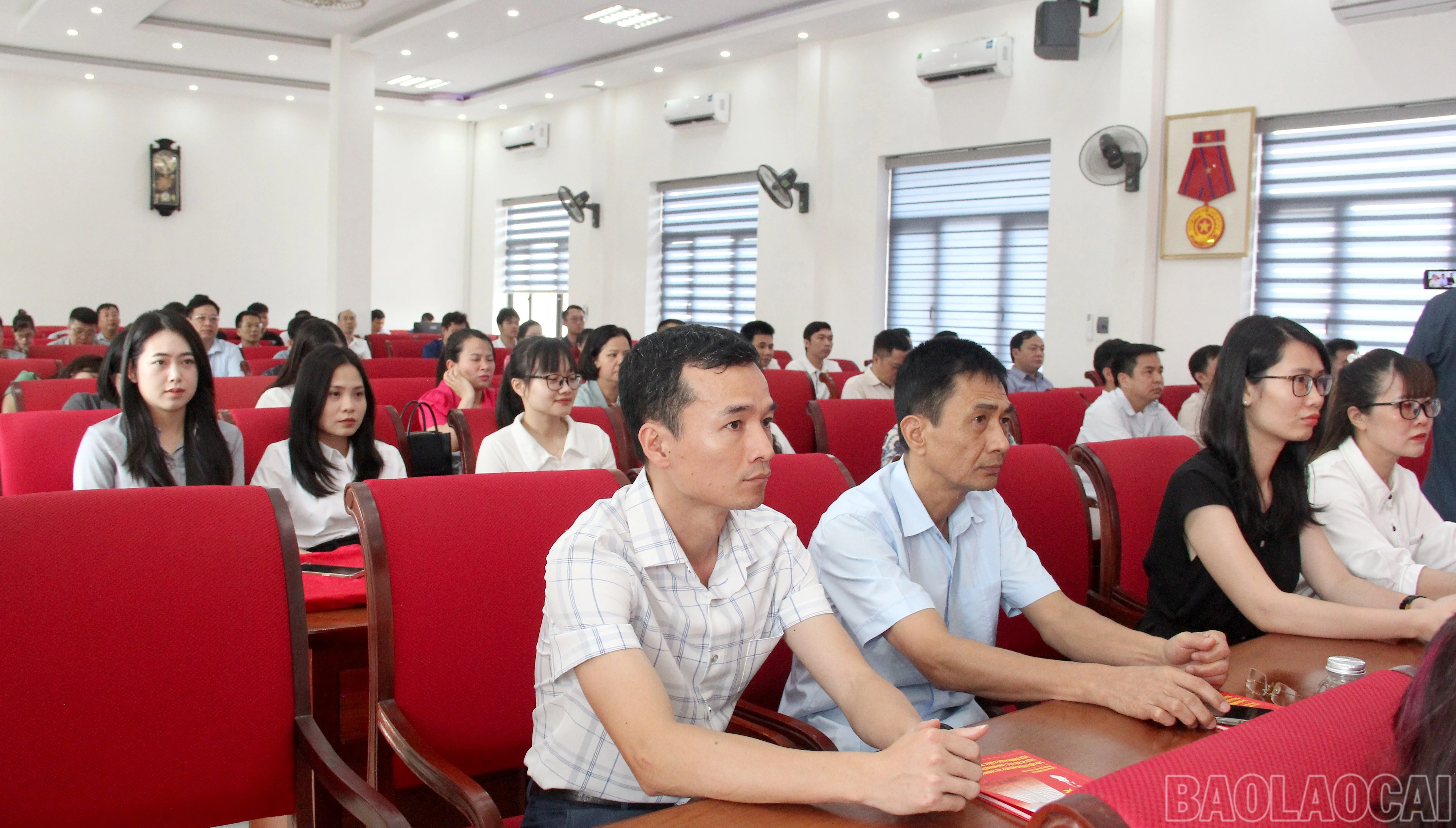 baolaocai-br_img-9682.jpg
