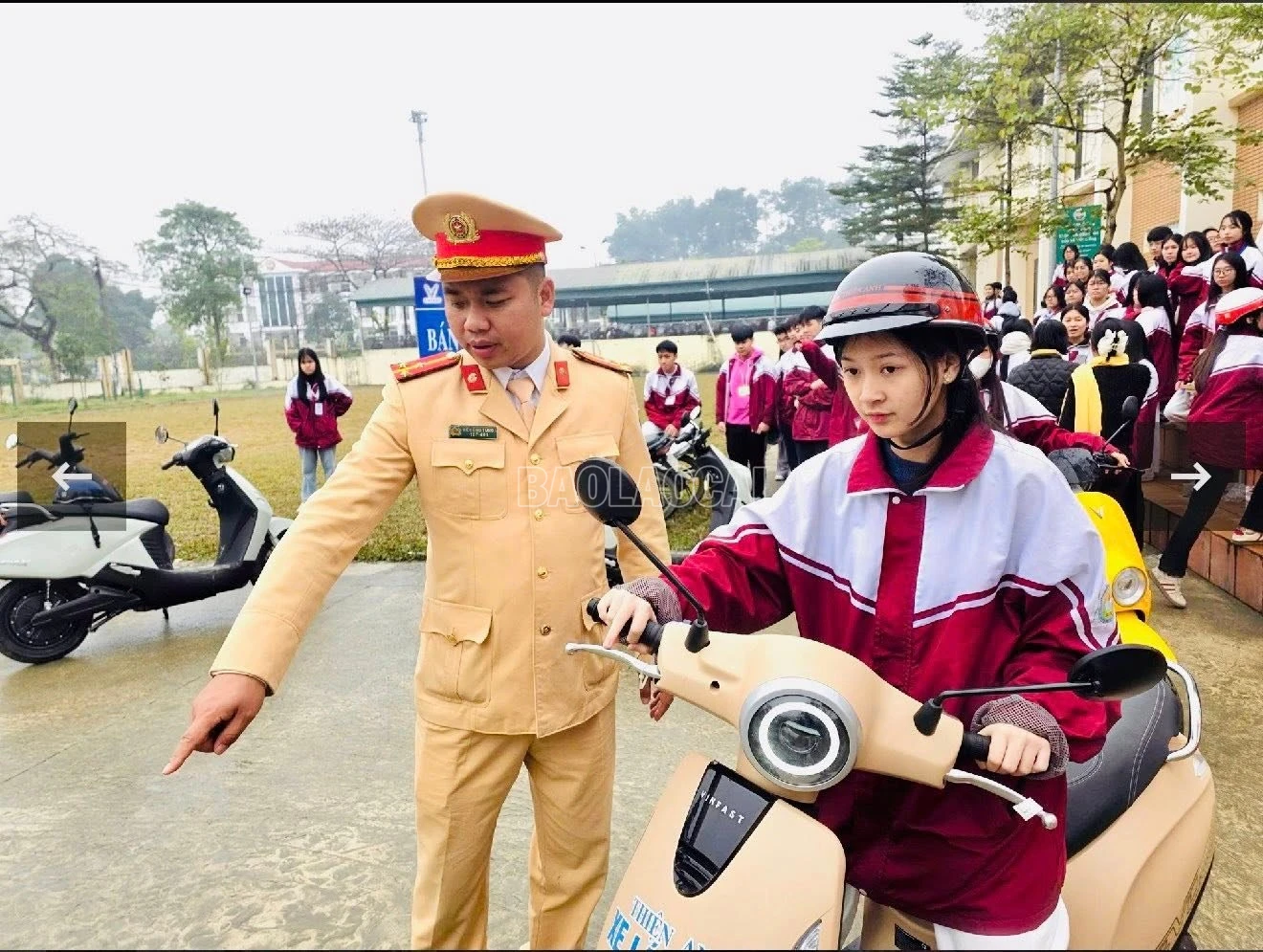 baolaocai-c_617530074-870530342239034-5704961452766825714-n.jpg