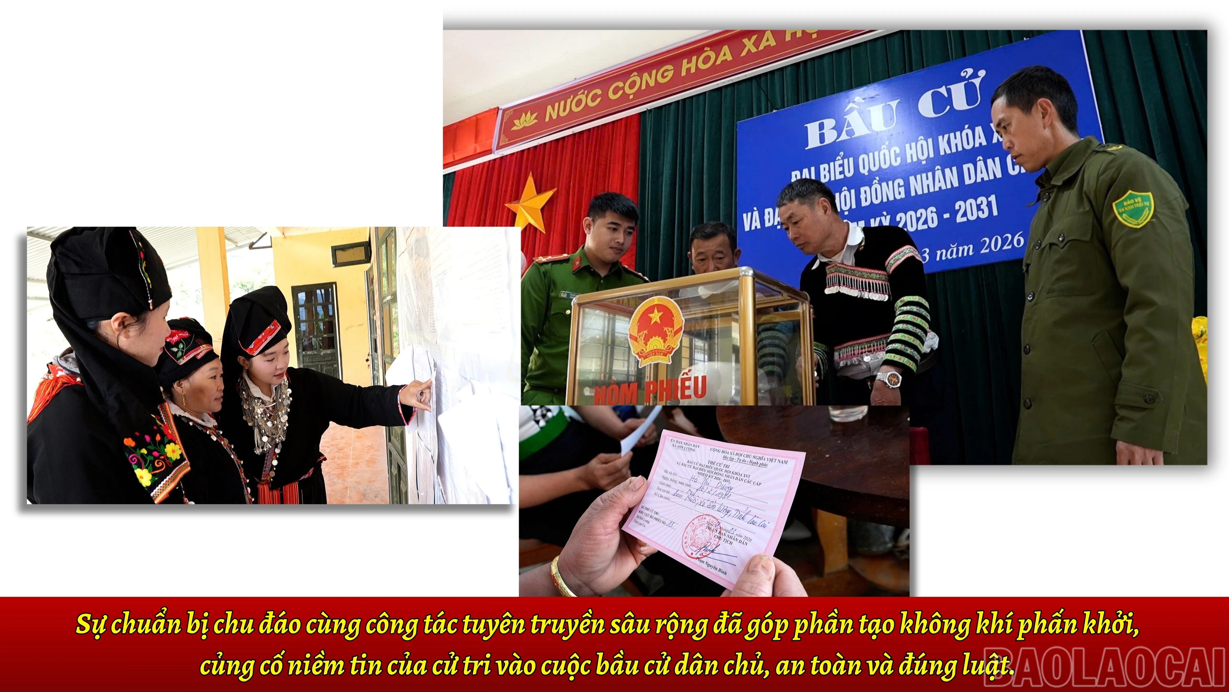 baolaocai-br_2-2458.jpg