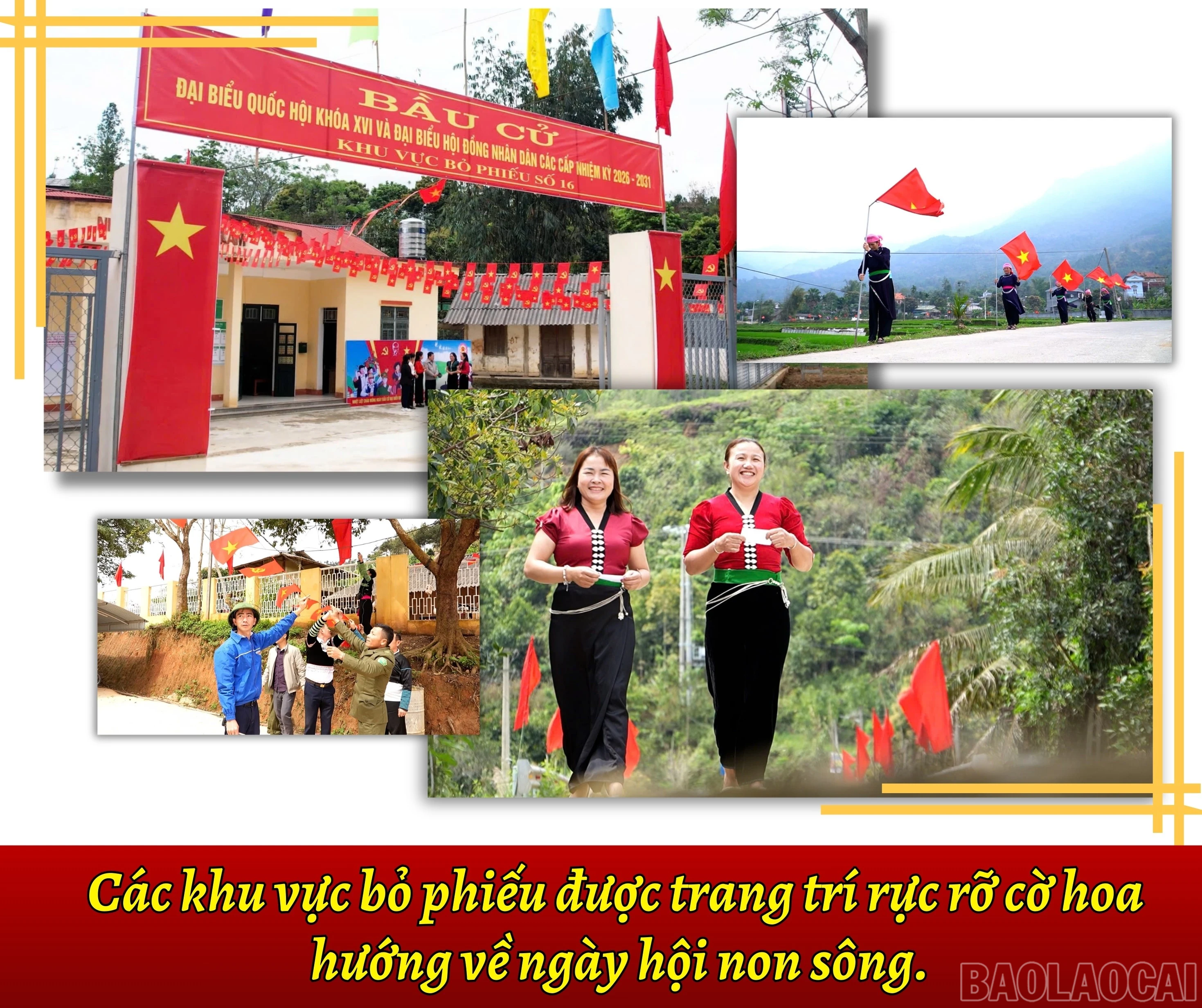 baolaocai-br_3.jpg