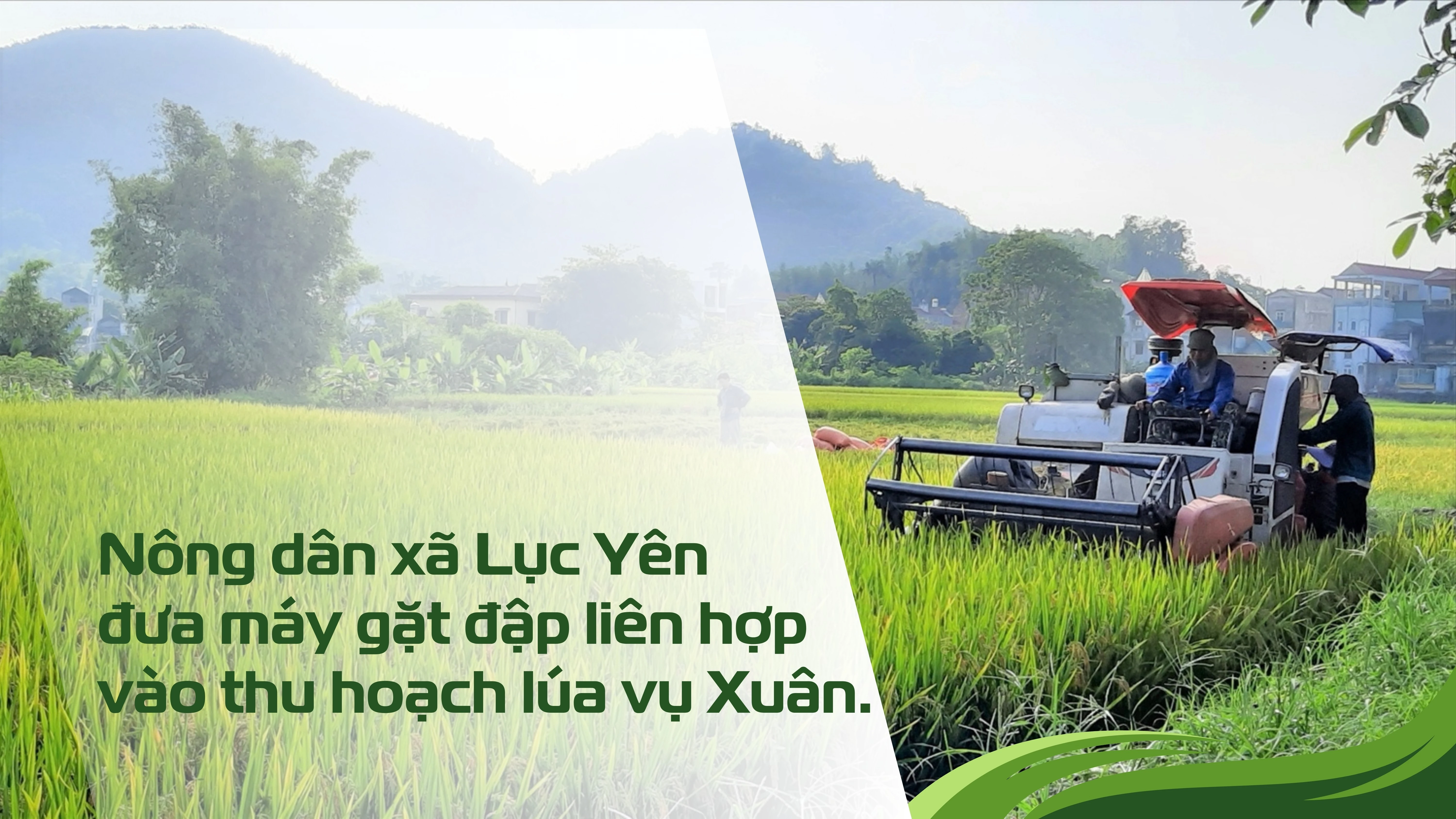 green-and-white-modern-agriculture-presentation.jpg