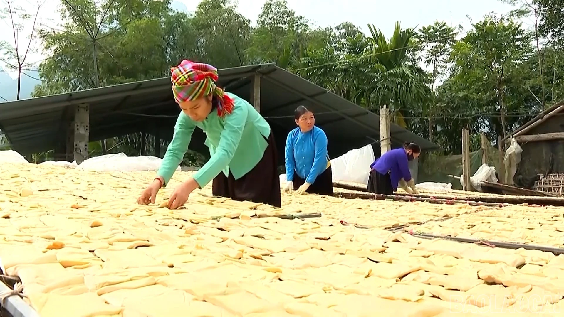 baolaocai-br_lk88040-kinh-te-tap-the-va-thach-thuc-trong-hanh-trinh-chuyen-doi-so-hd100-04-40-13still002.jpg