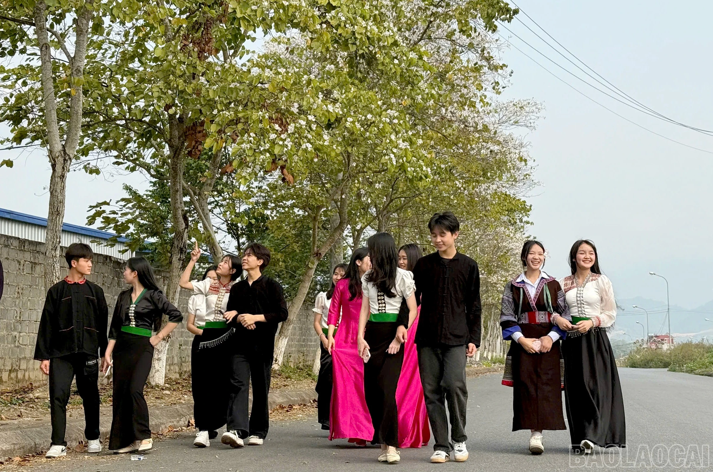 baolaocai-br_8679adec1941971fce50.jpg