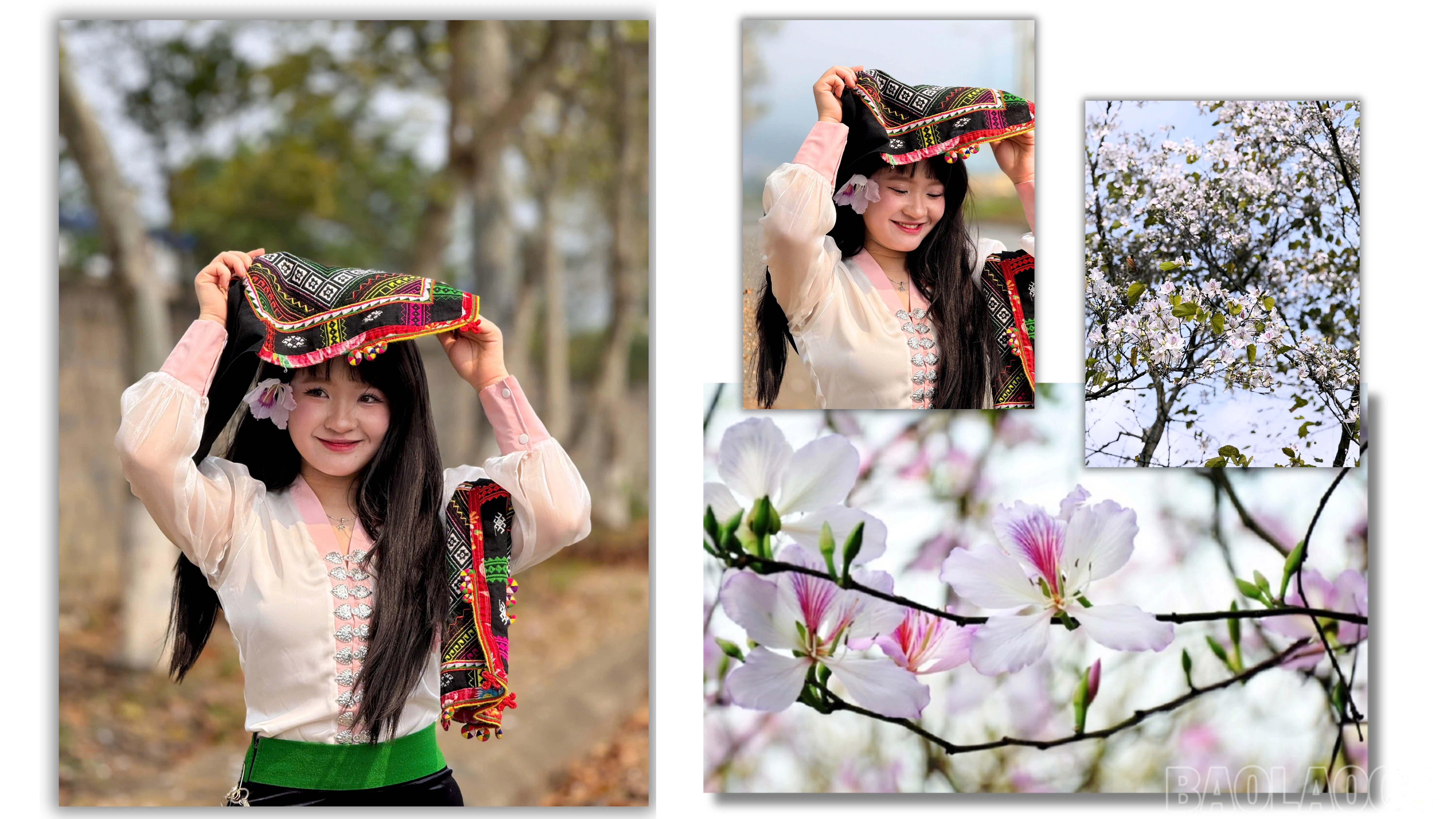 baolaocai-br_cam-trich-dan-hoa-hinh-nen-may-tinh.jpg