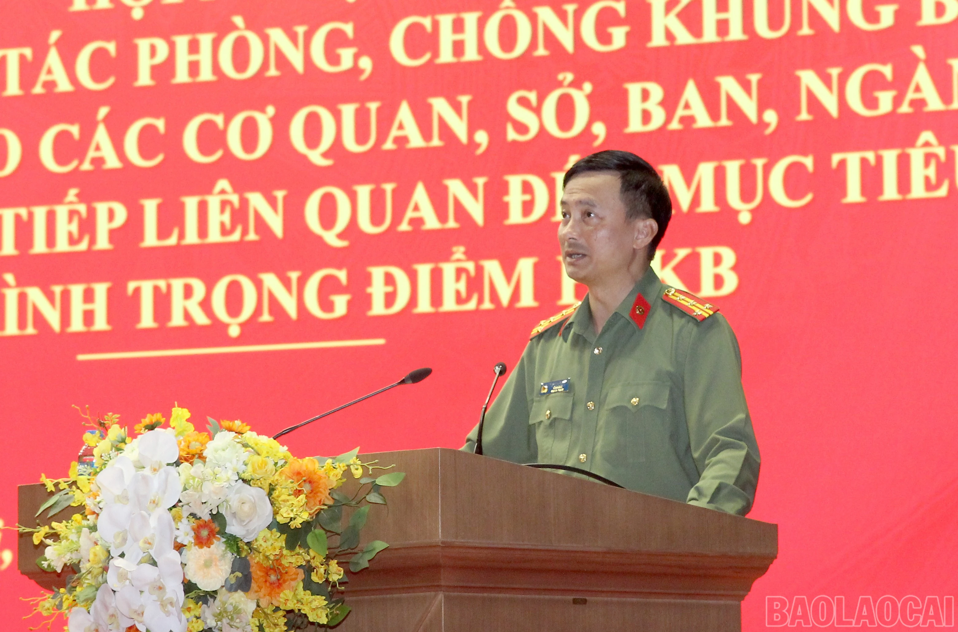 baolaocai-br_img-9725.jpg
