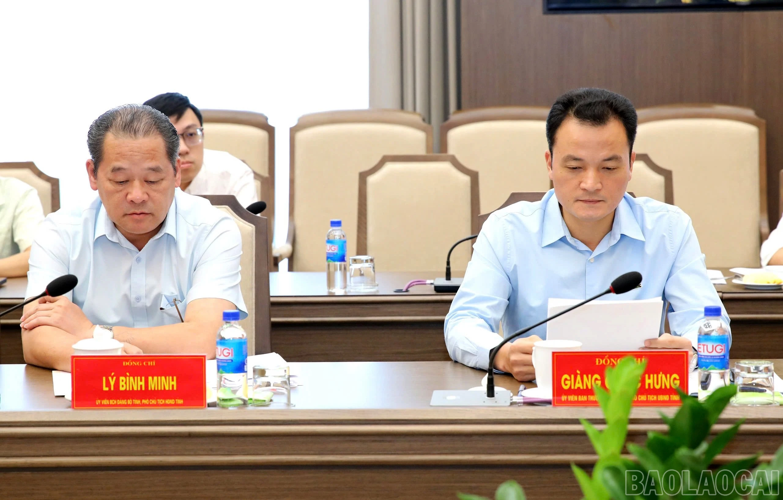 baolaocai-br_z8336263078068-9a4d5860345eaf58ad763accff8b0c5c.jpg