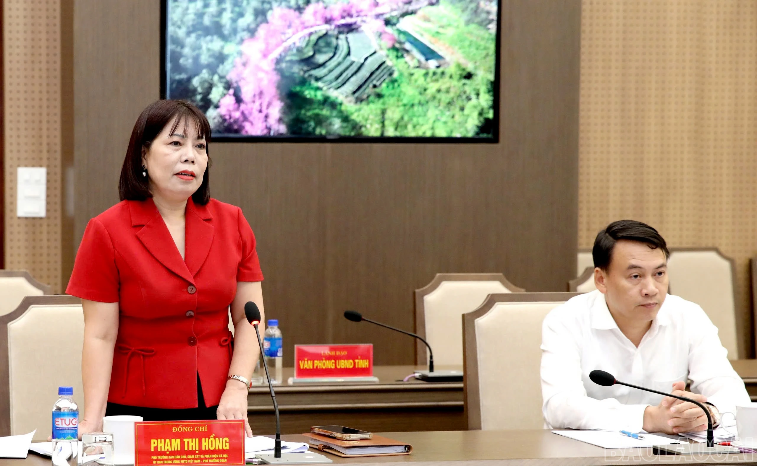 baolaocai-br_z8336263932300-1278485c547d450a4b483ab7a33bedd7.jpg