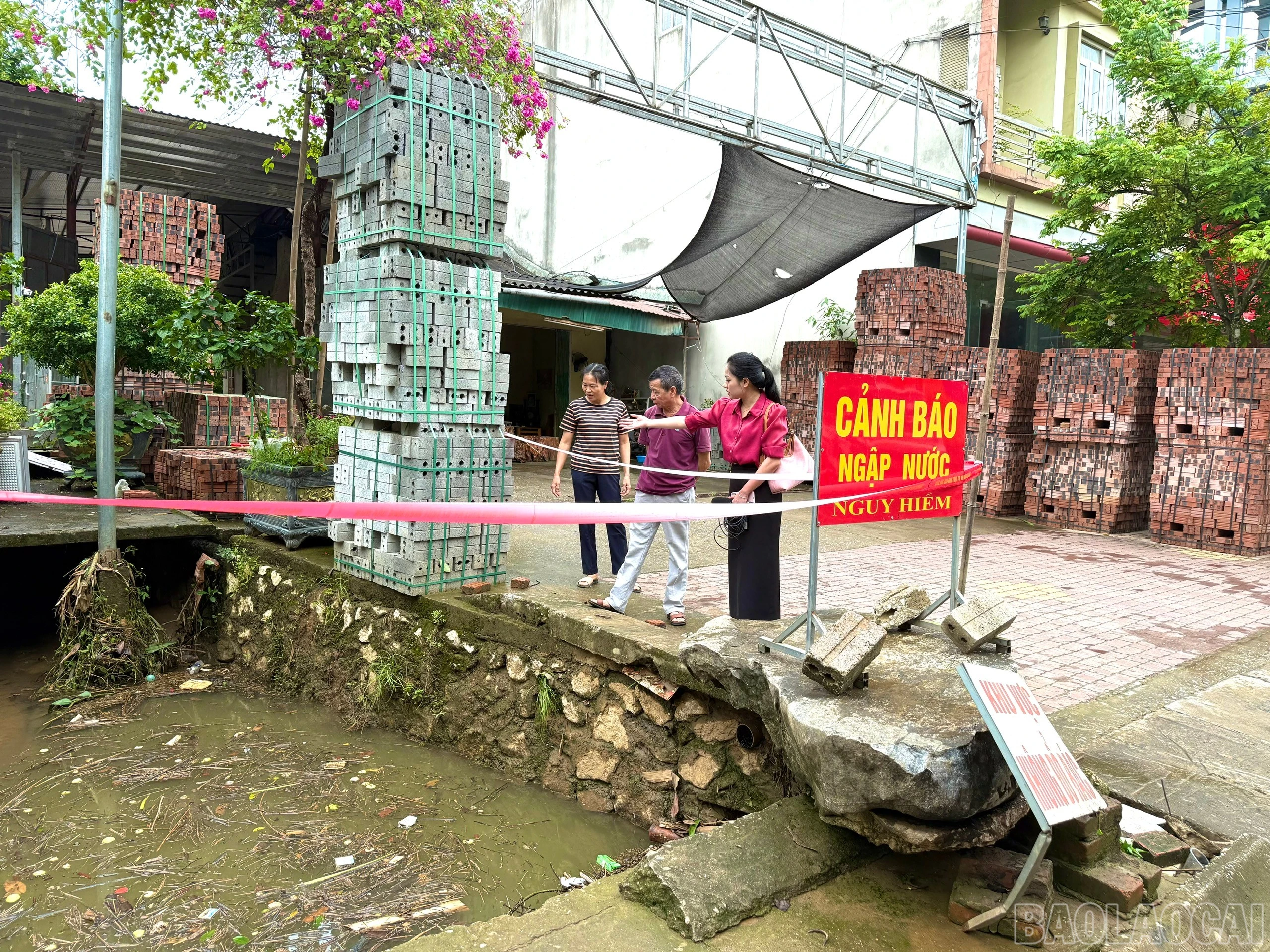baolaocai-br_z7919015014645-6e82059e30f397827e10a3e6fc53f7bc.jpg