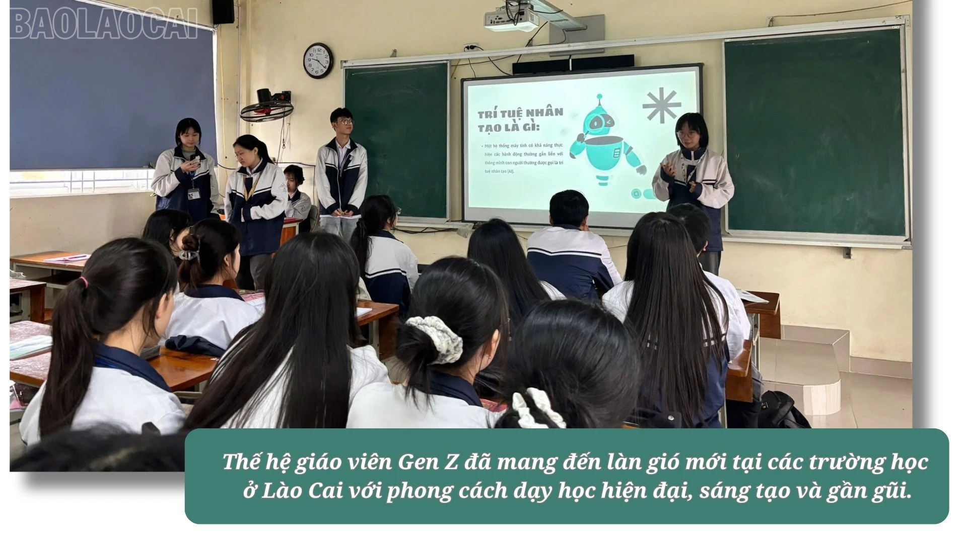 baolaocai-tl_2.jpg