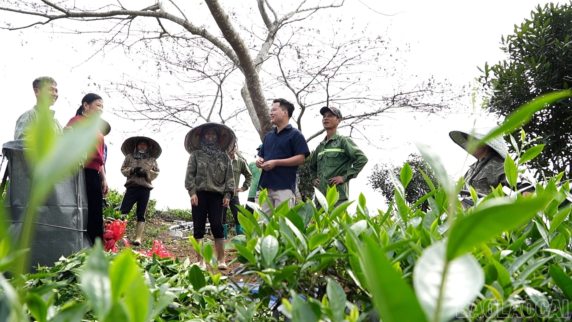 baolaocai-br_da-phuong-tien00-03-51-24still001.jpg