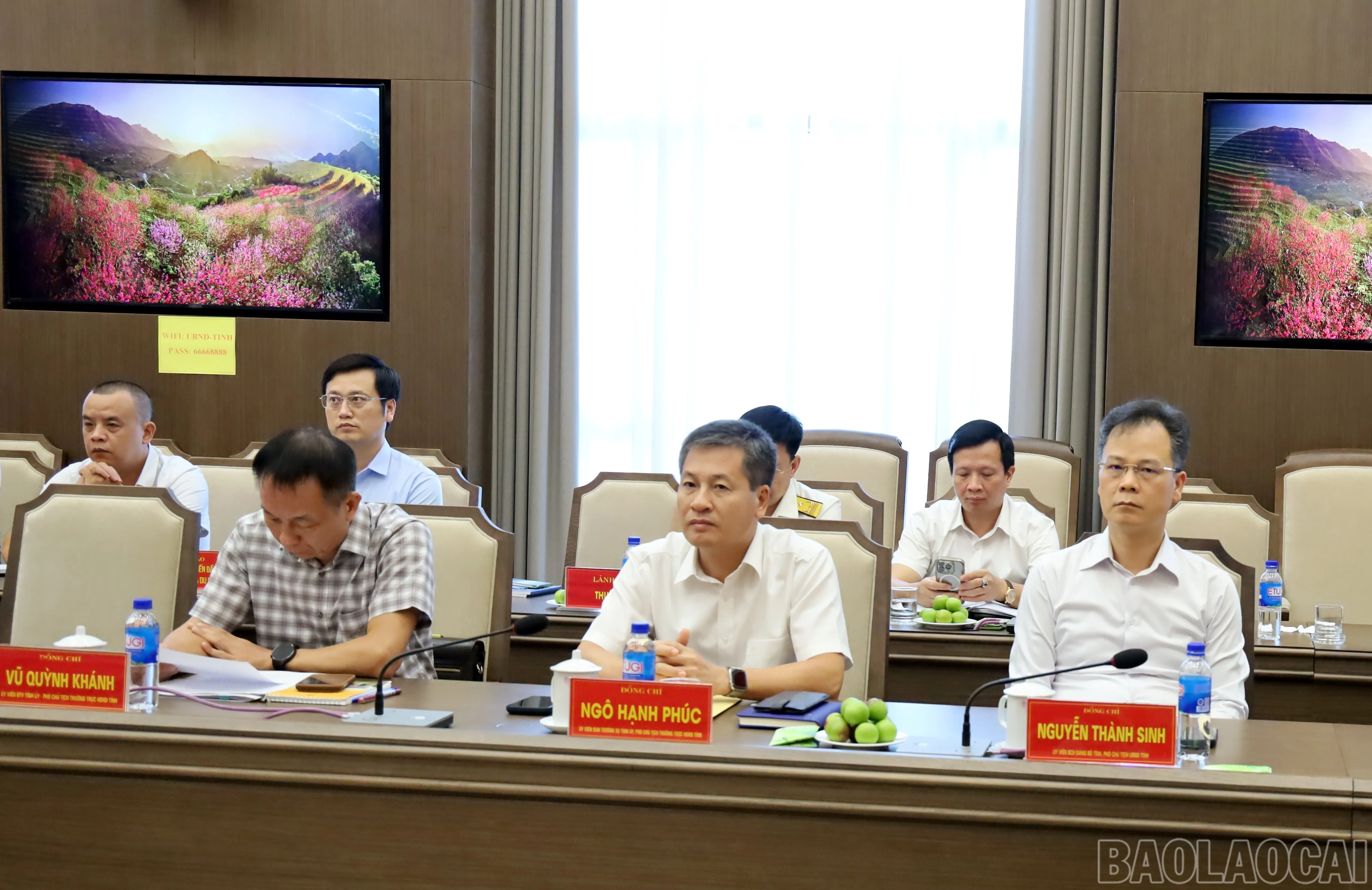 baolaocai-br_img-6561.jpg