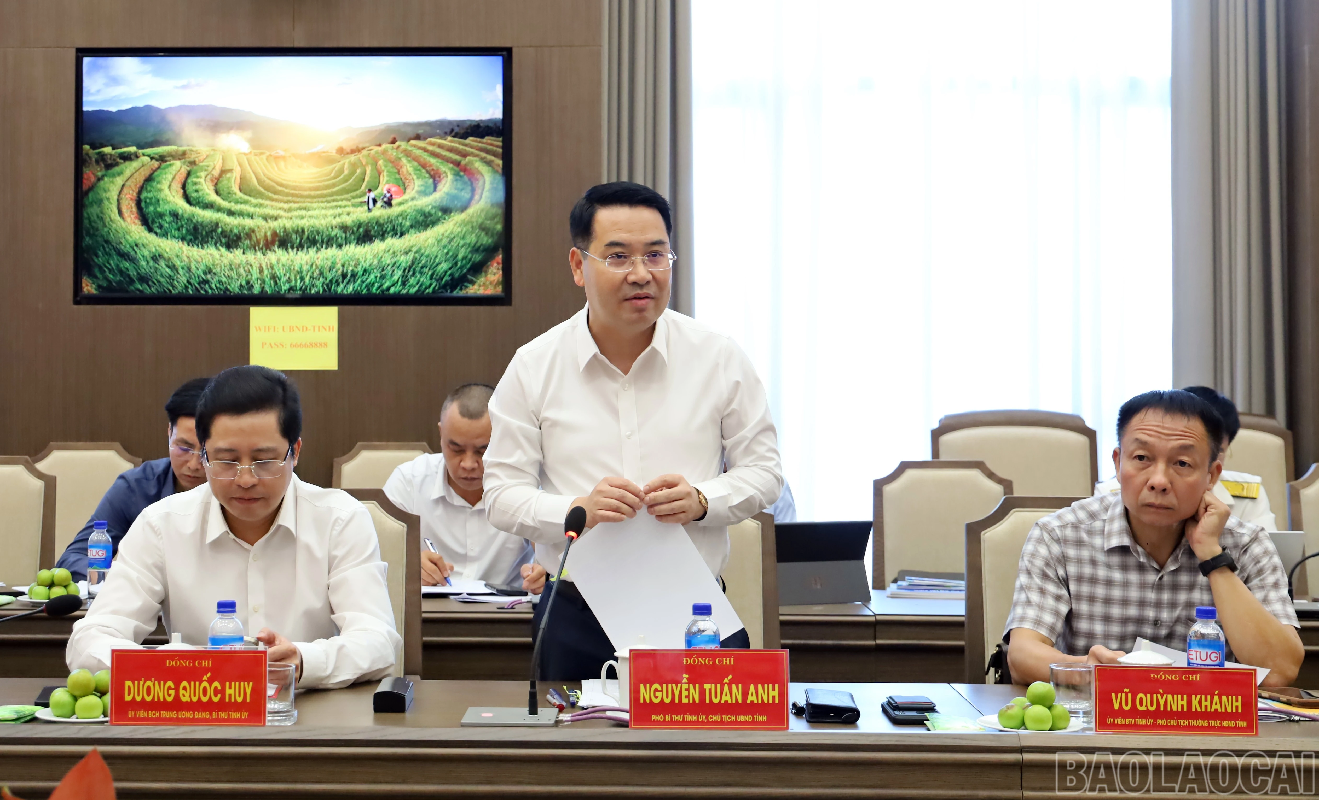 baolaocai-br_img-6538.jpg