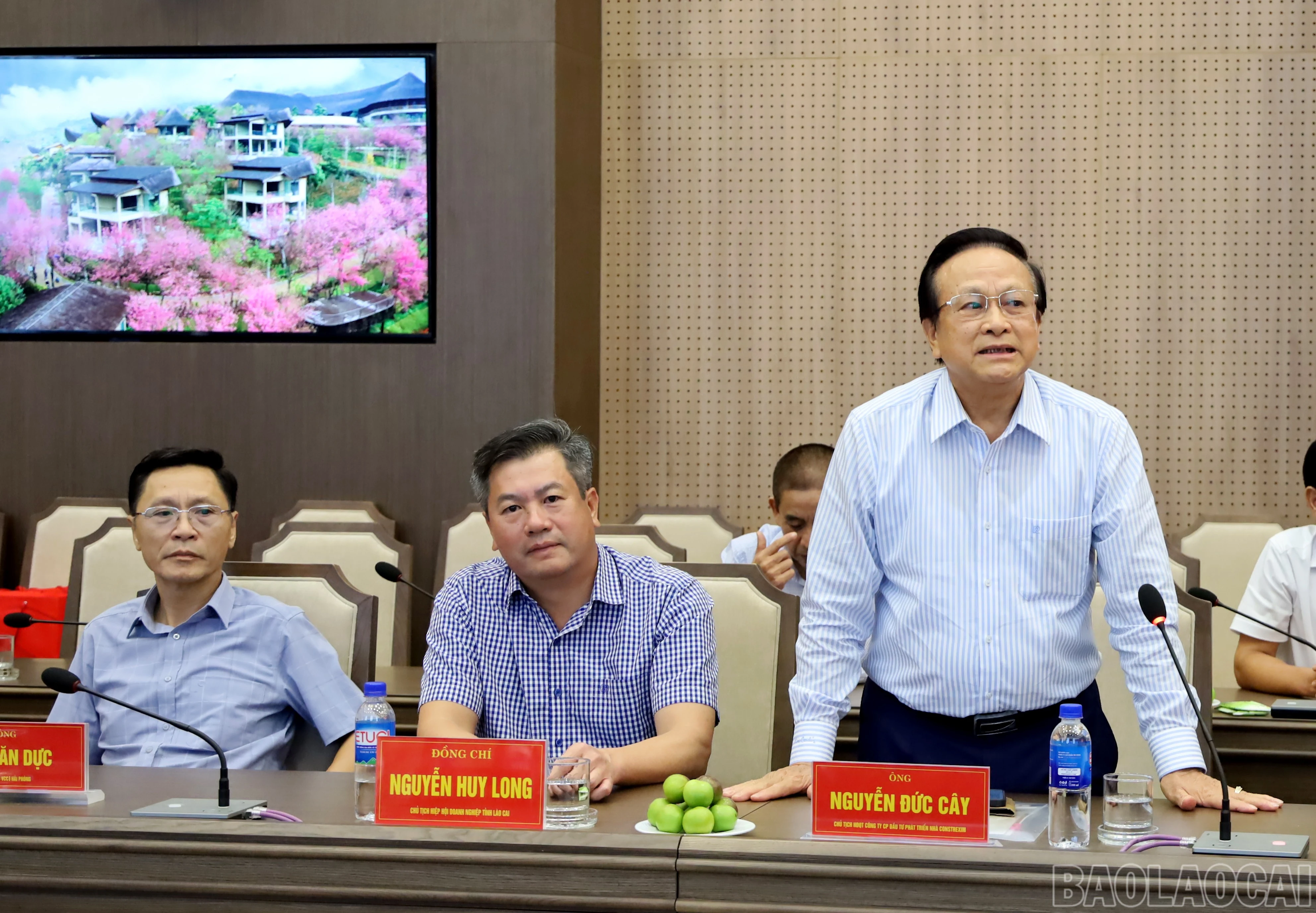 baolaocai-br_img-6599.jpg