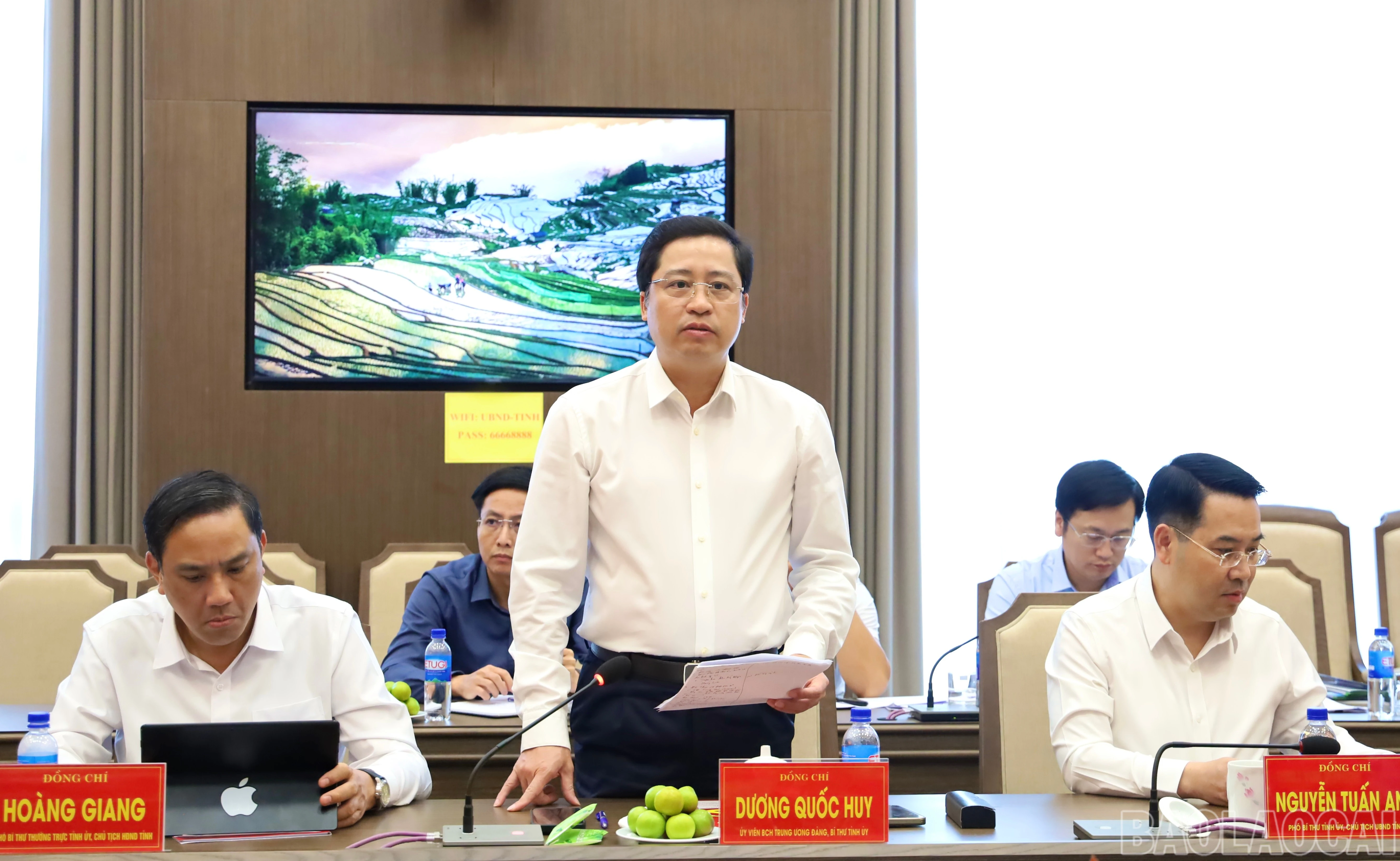 baolaocai-br_img-6878.jpg
