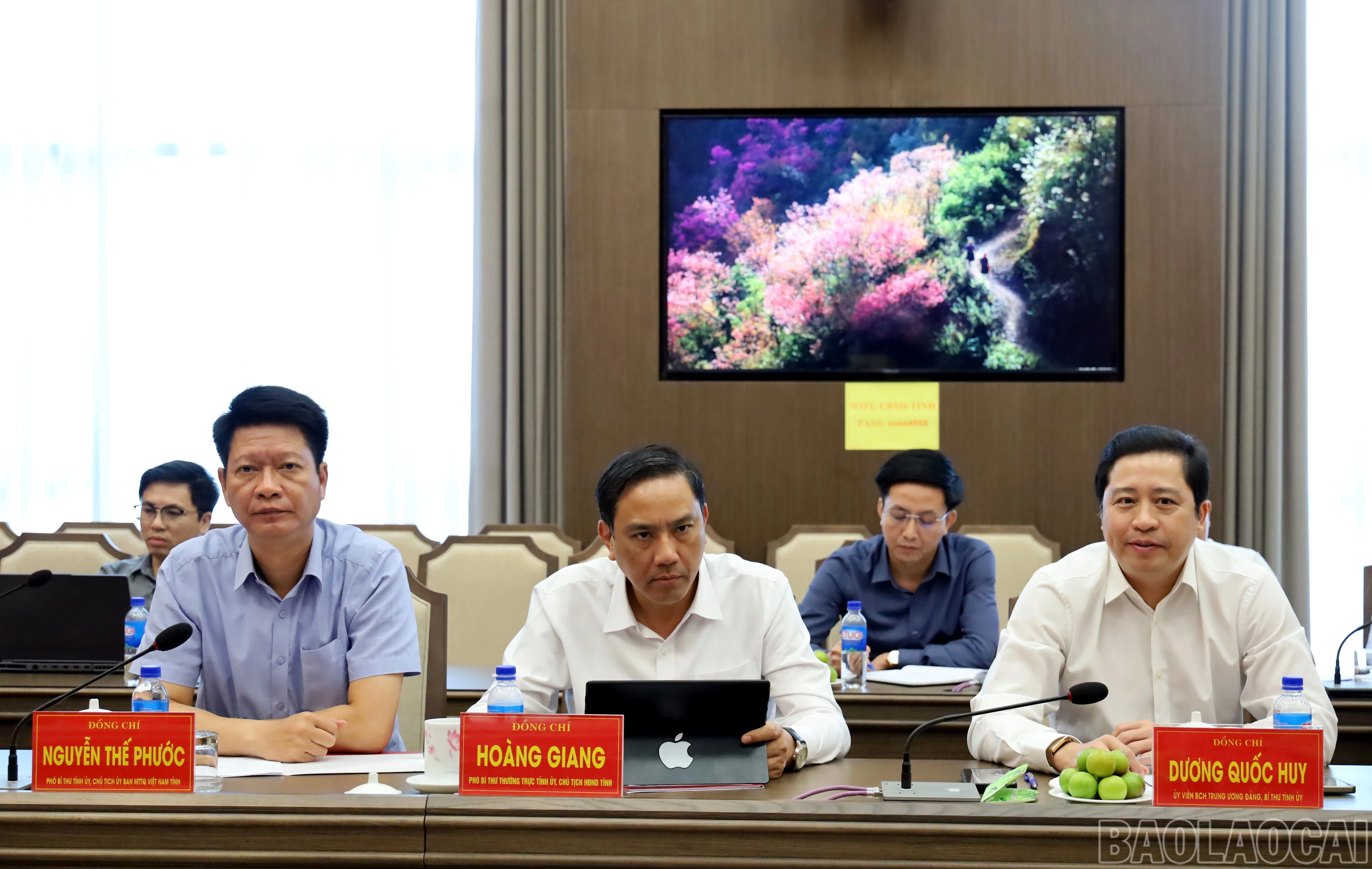 baolaocai-br_img-9469.jpg