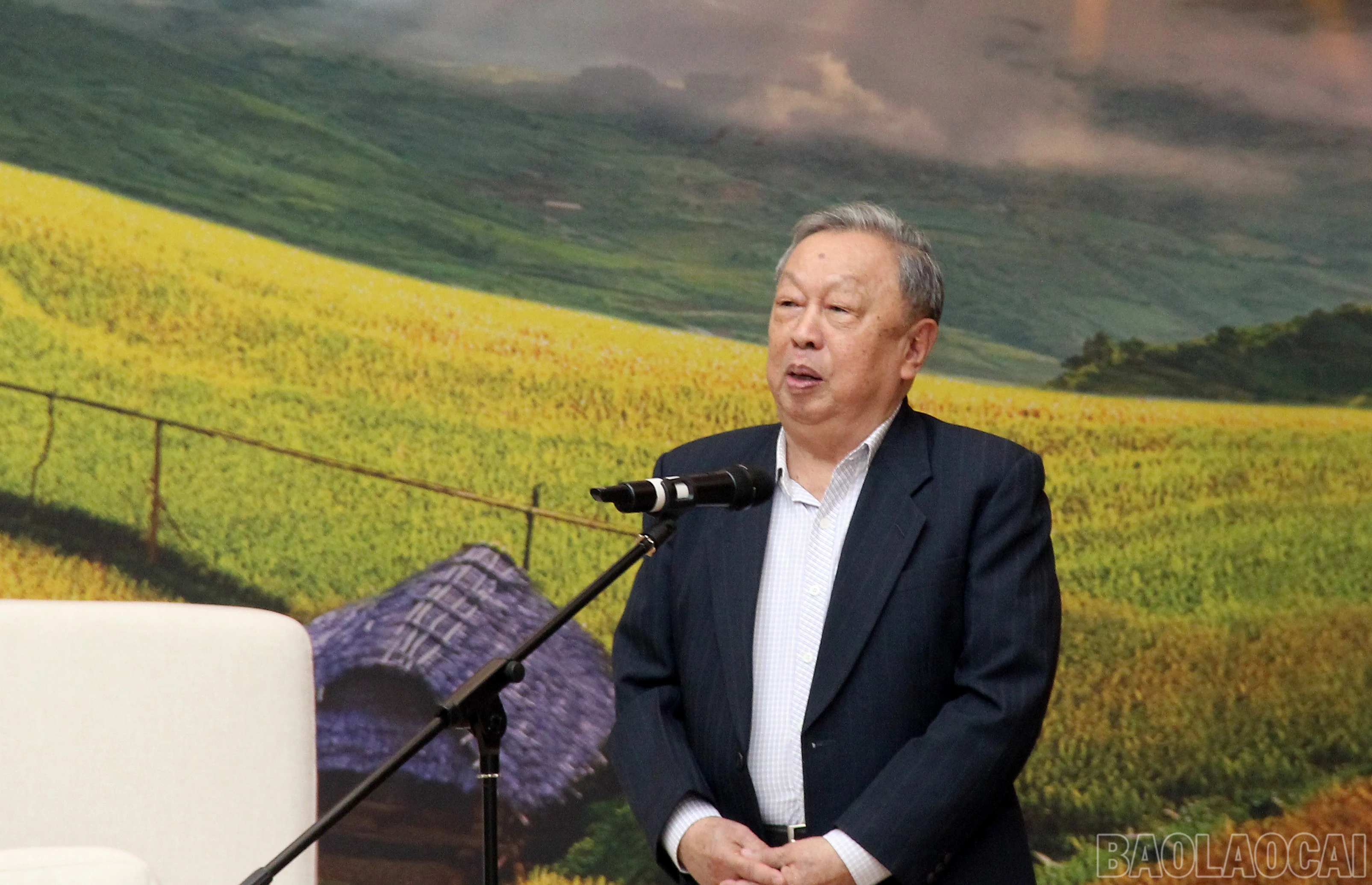 baolaocai-br_img-8967.jpg