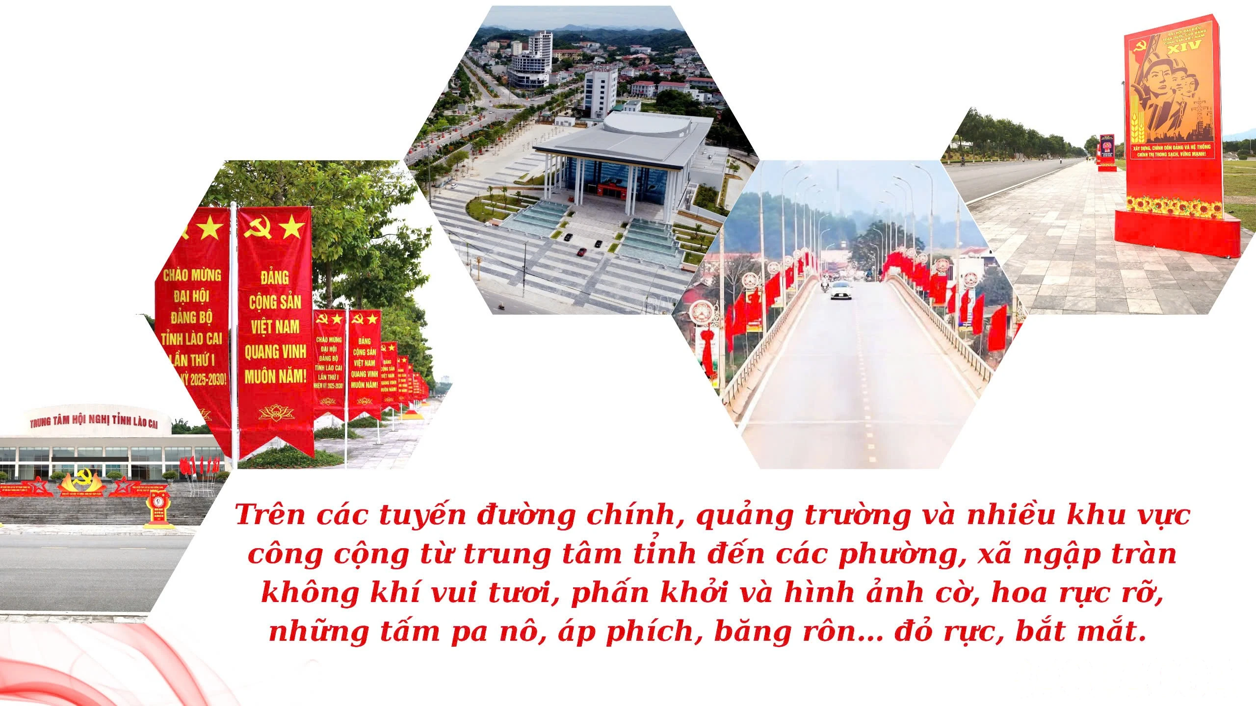 baolaocai-br_c4eff1943747bd19e456.jpg