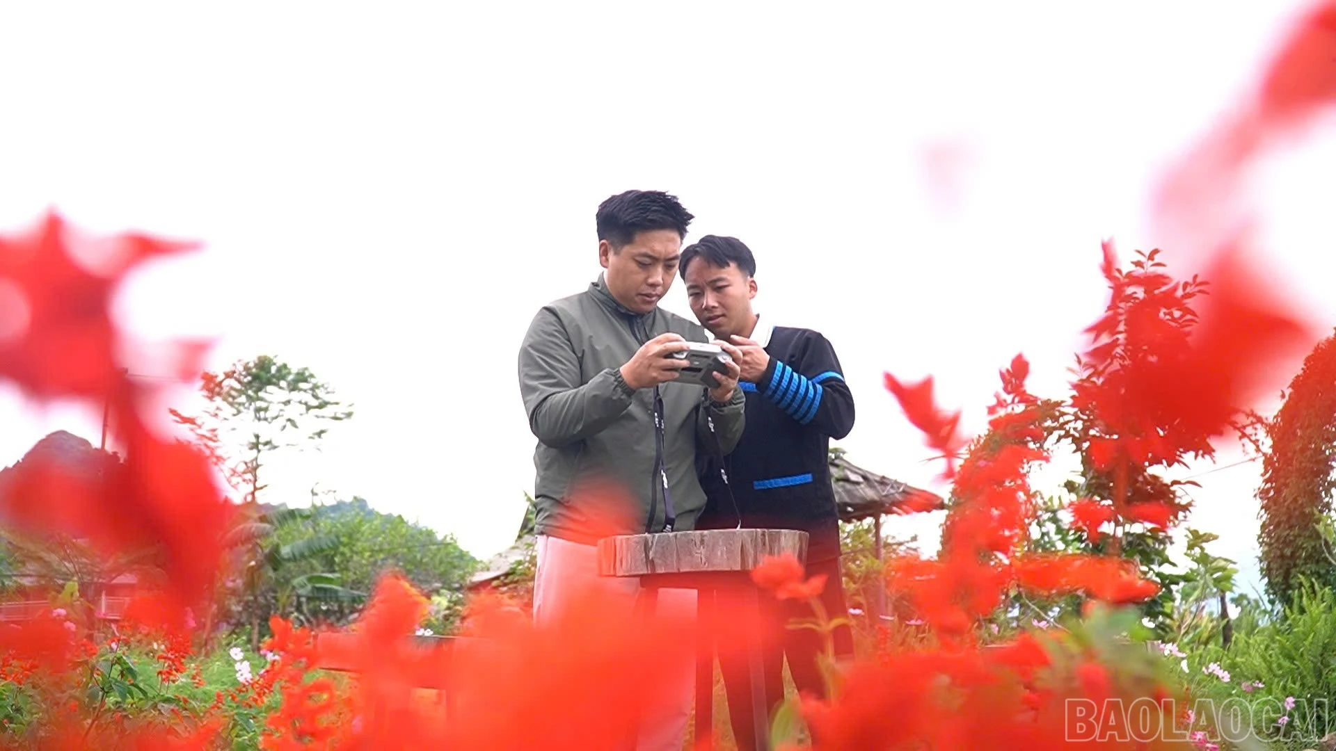 baolaocai-br_z7776068495606-1292fed2d2ebf84f3be34f860c6074e5.jpg