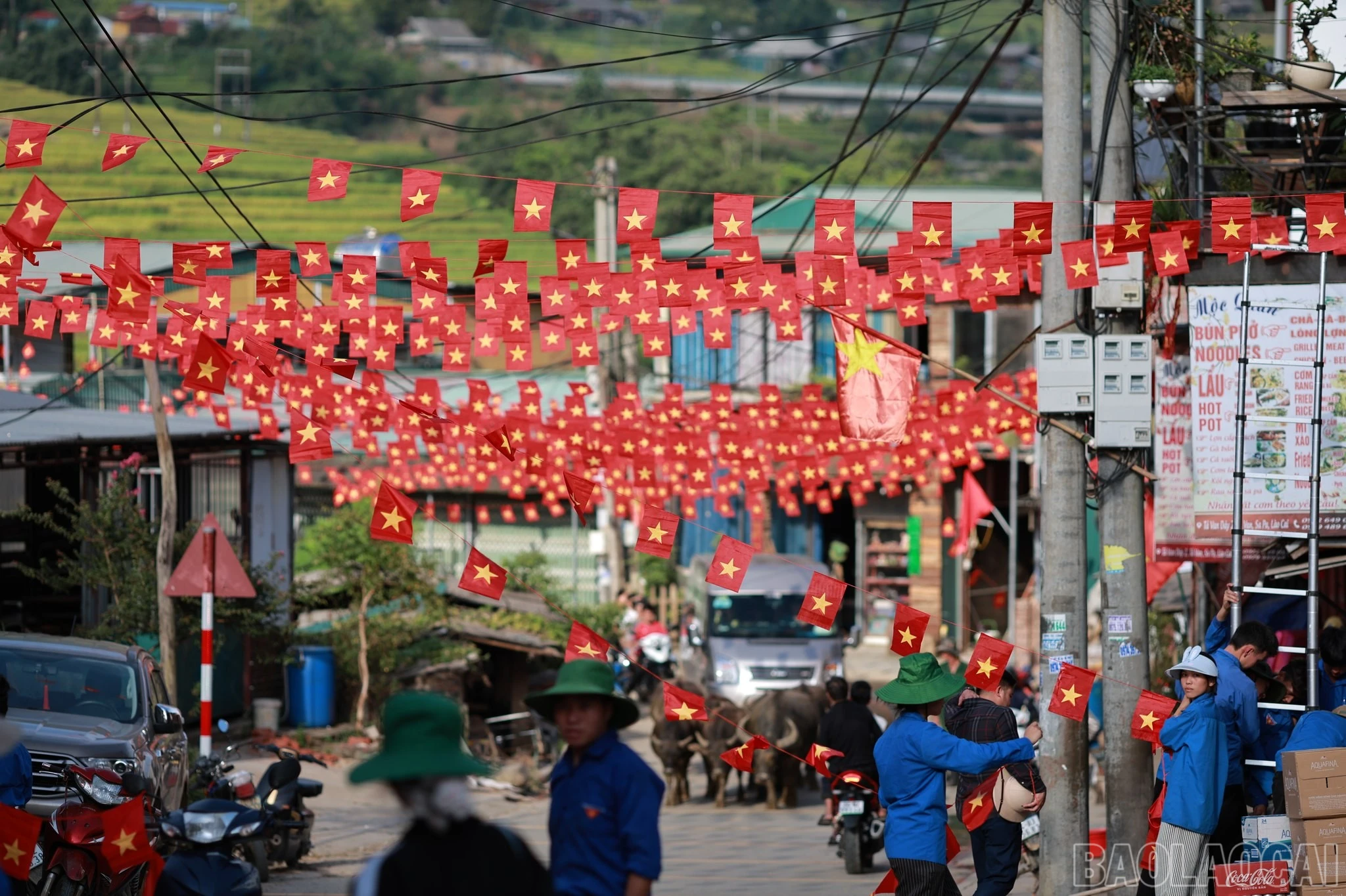 baolaocai-br_539058543-122126129138926353-607344938391439722-n.jpg