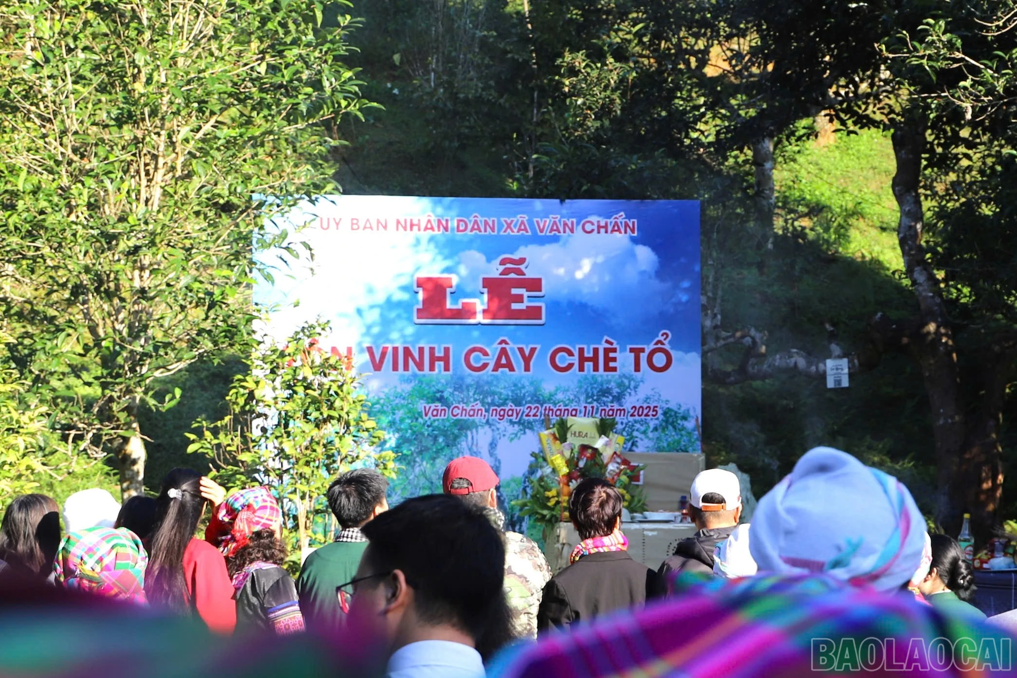 baolaocai-br_z7250144223636-7bd3df9f5b5f4a95e87066ebe8bfc781.jpg