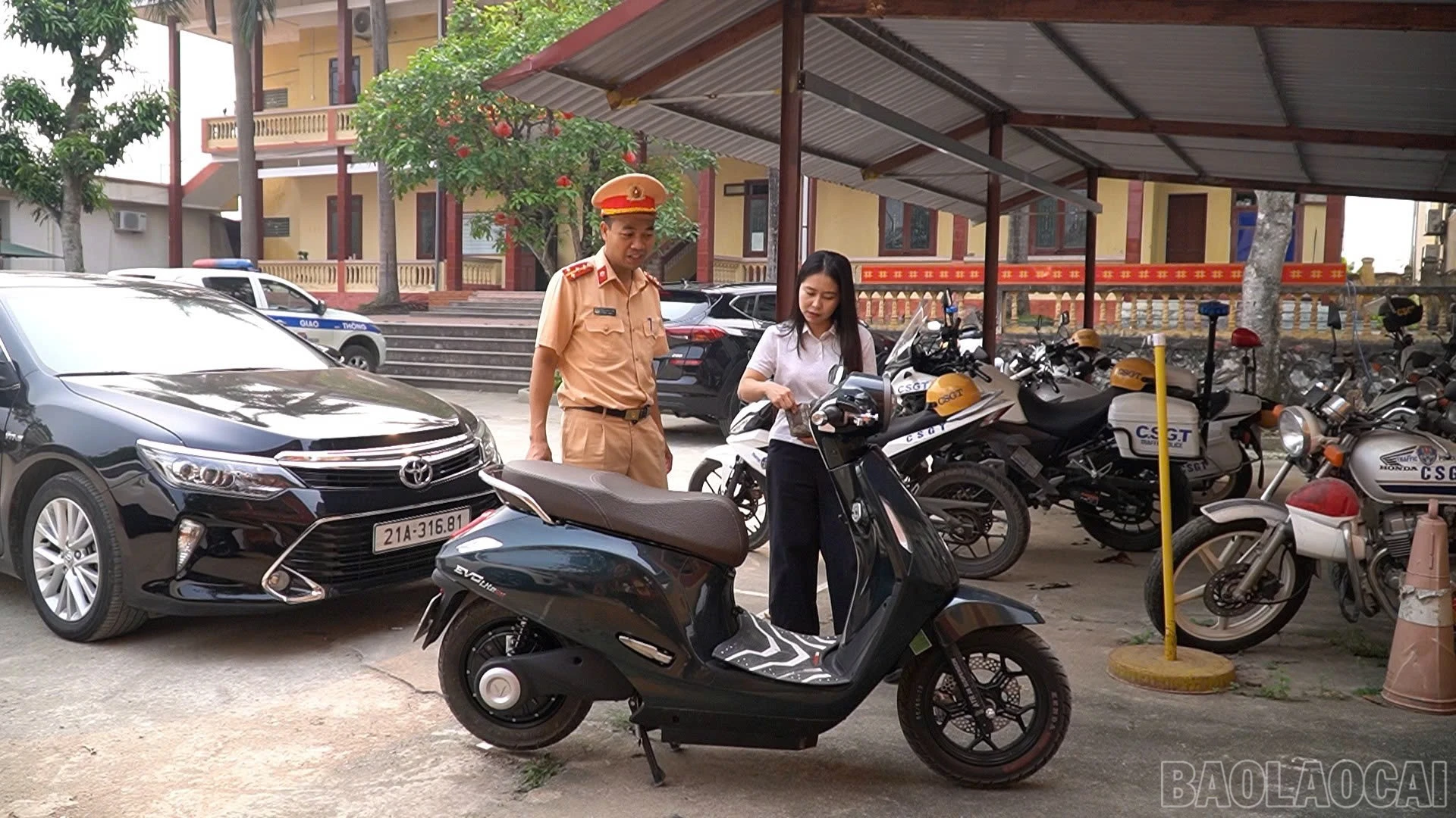 baolaocai-br_z7746010579824-392e1f1f05e28c6d93bc13c8a44f5090.jpg